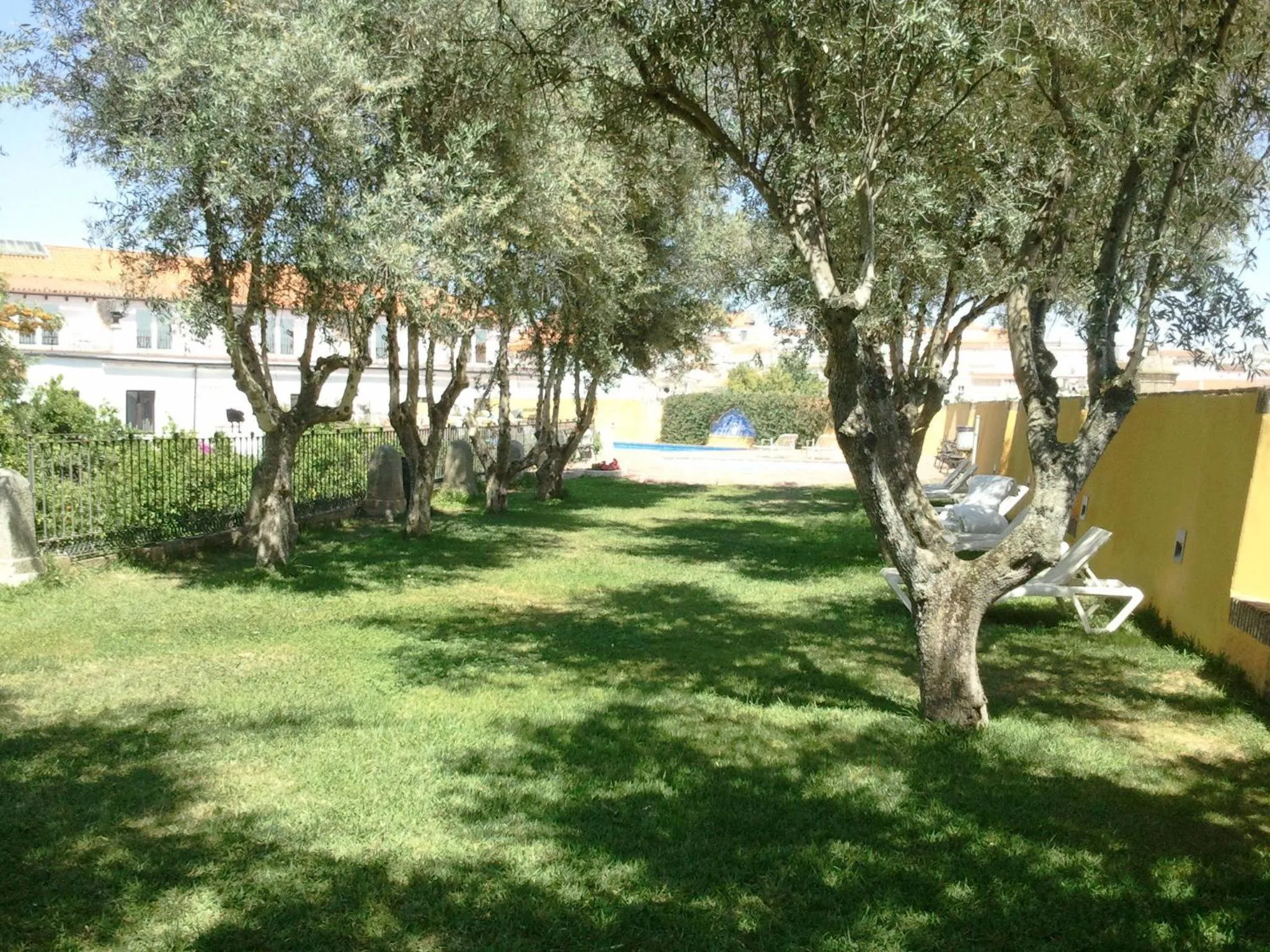 Garden in Hotel Sao Joao De Deus by RIDAN Hotels