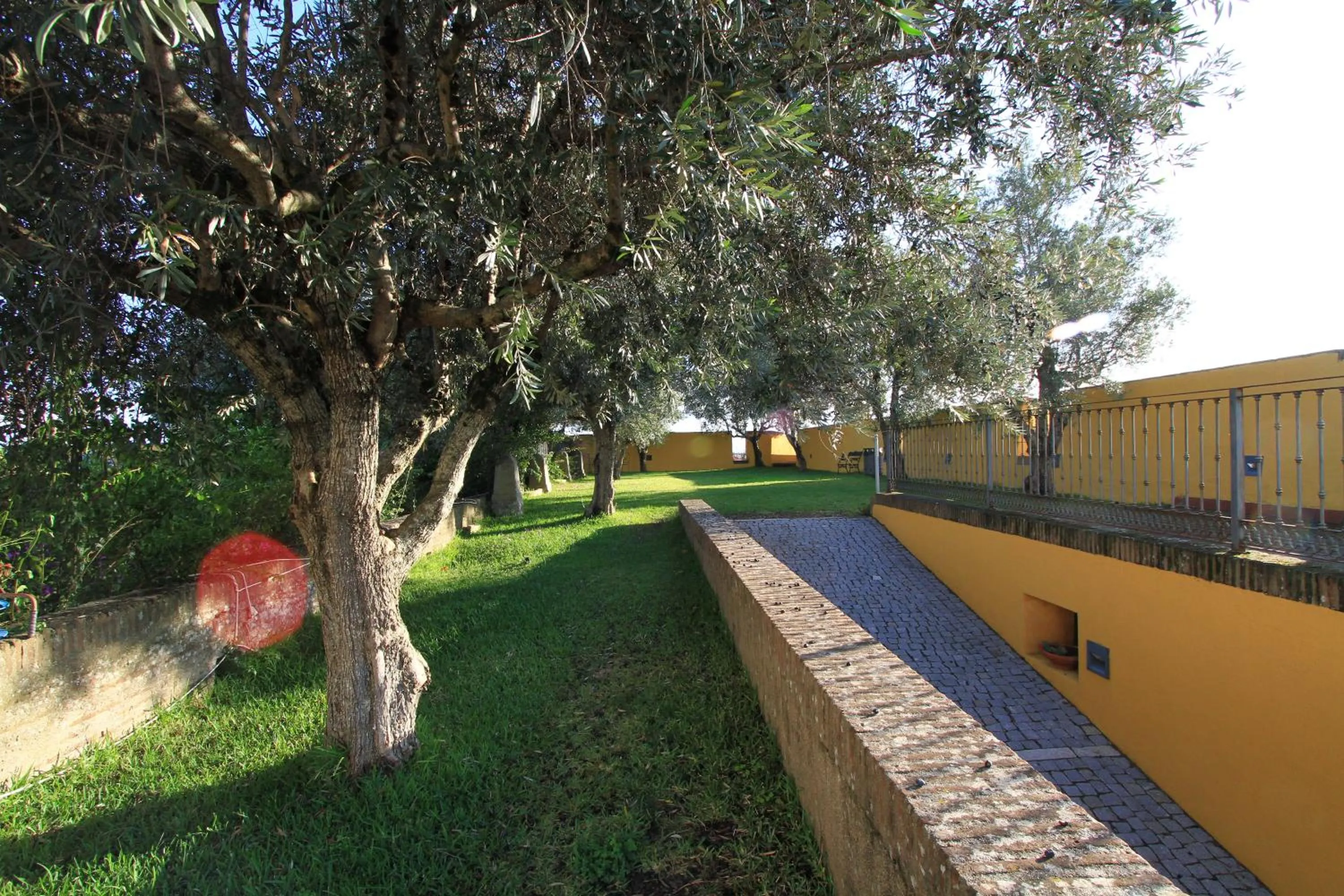 Garden in Hotel Sao Joao De Deus by RIDAN Hotels