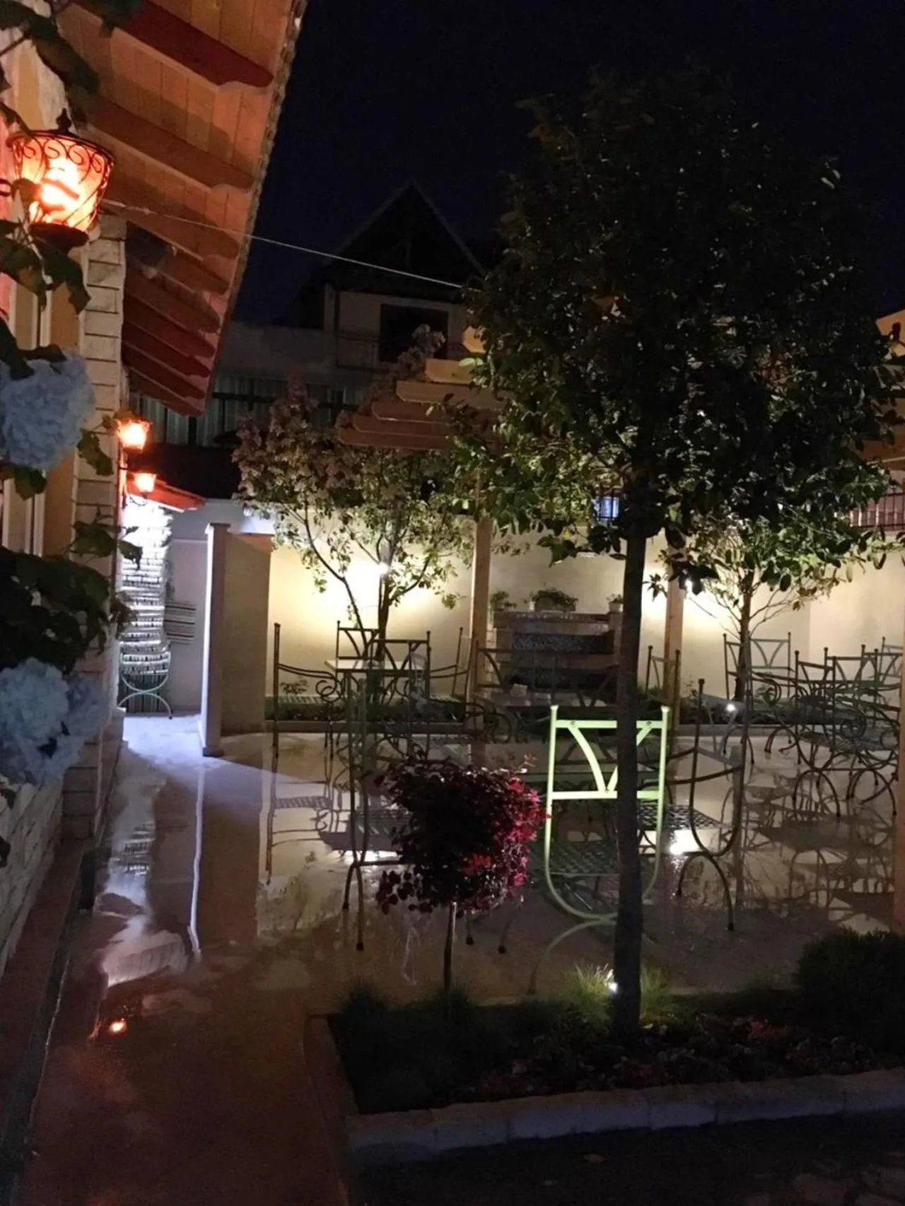 Garden in Hotel Akropoli
