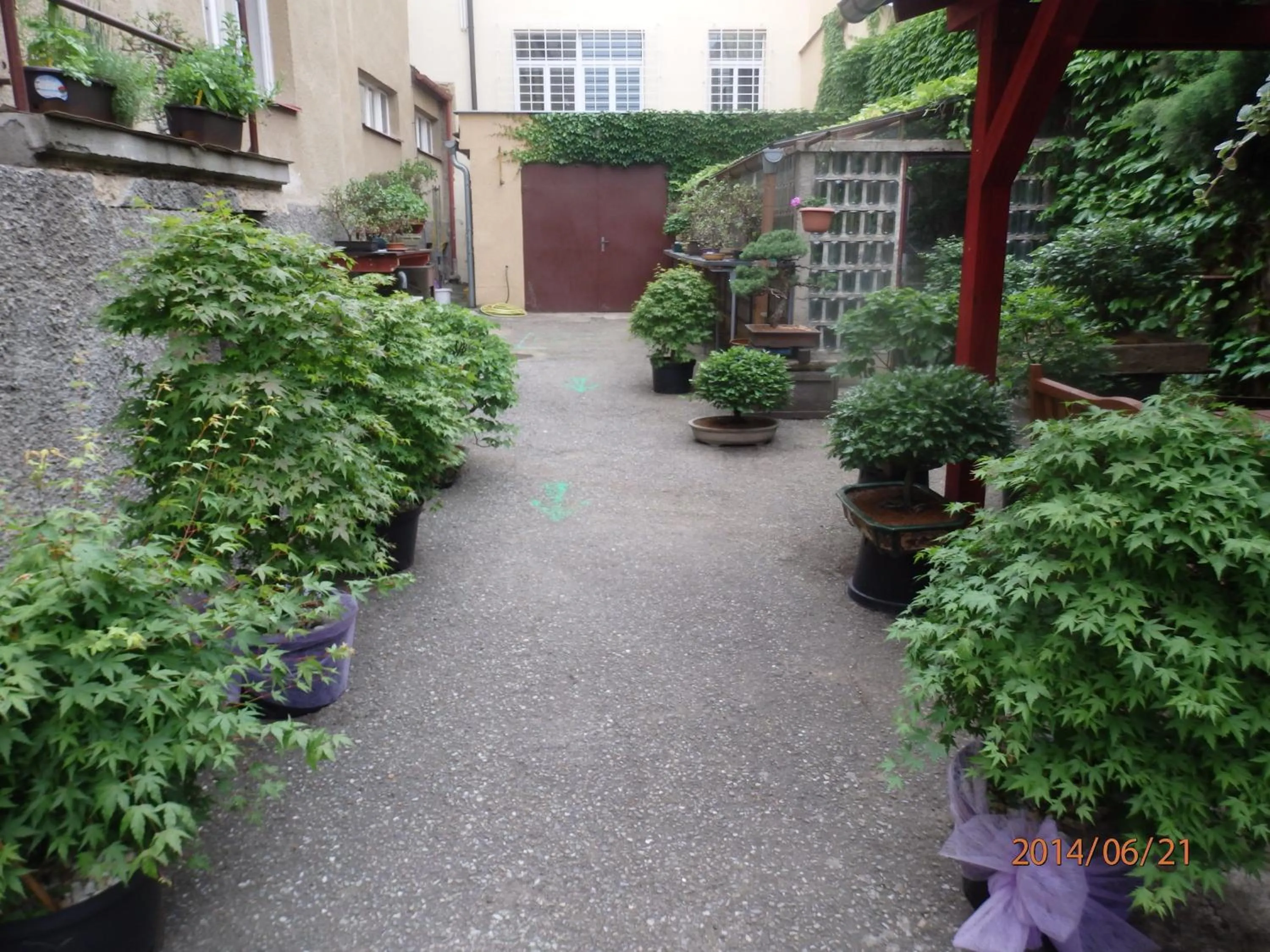 Balcony/Terrace in Hotel Morava