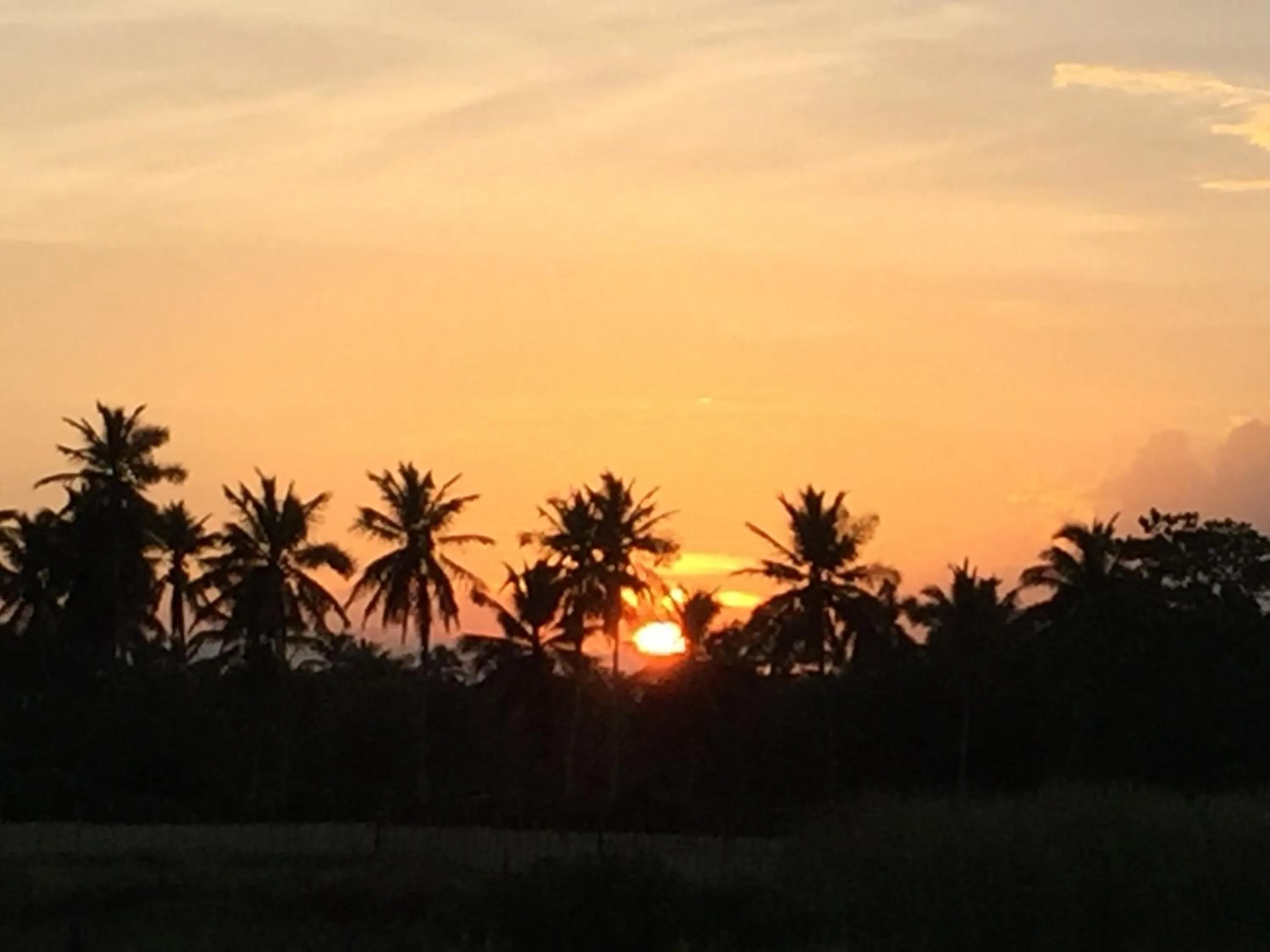 Natural landscape in Baoba Breeze Bed & Breakfast- beachfront paradise