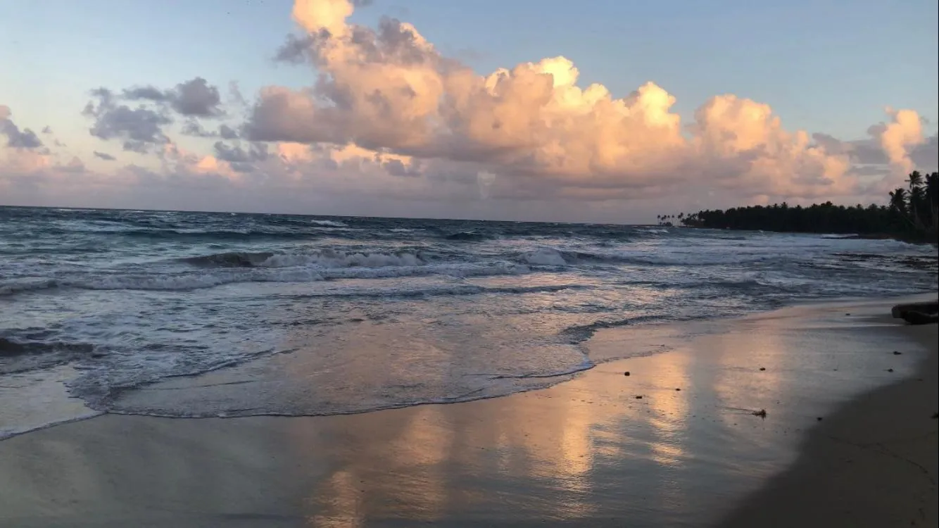 Beach in Baoba Breeze Bed & Breakfast- beachfront paradise