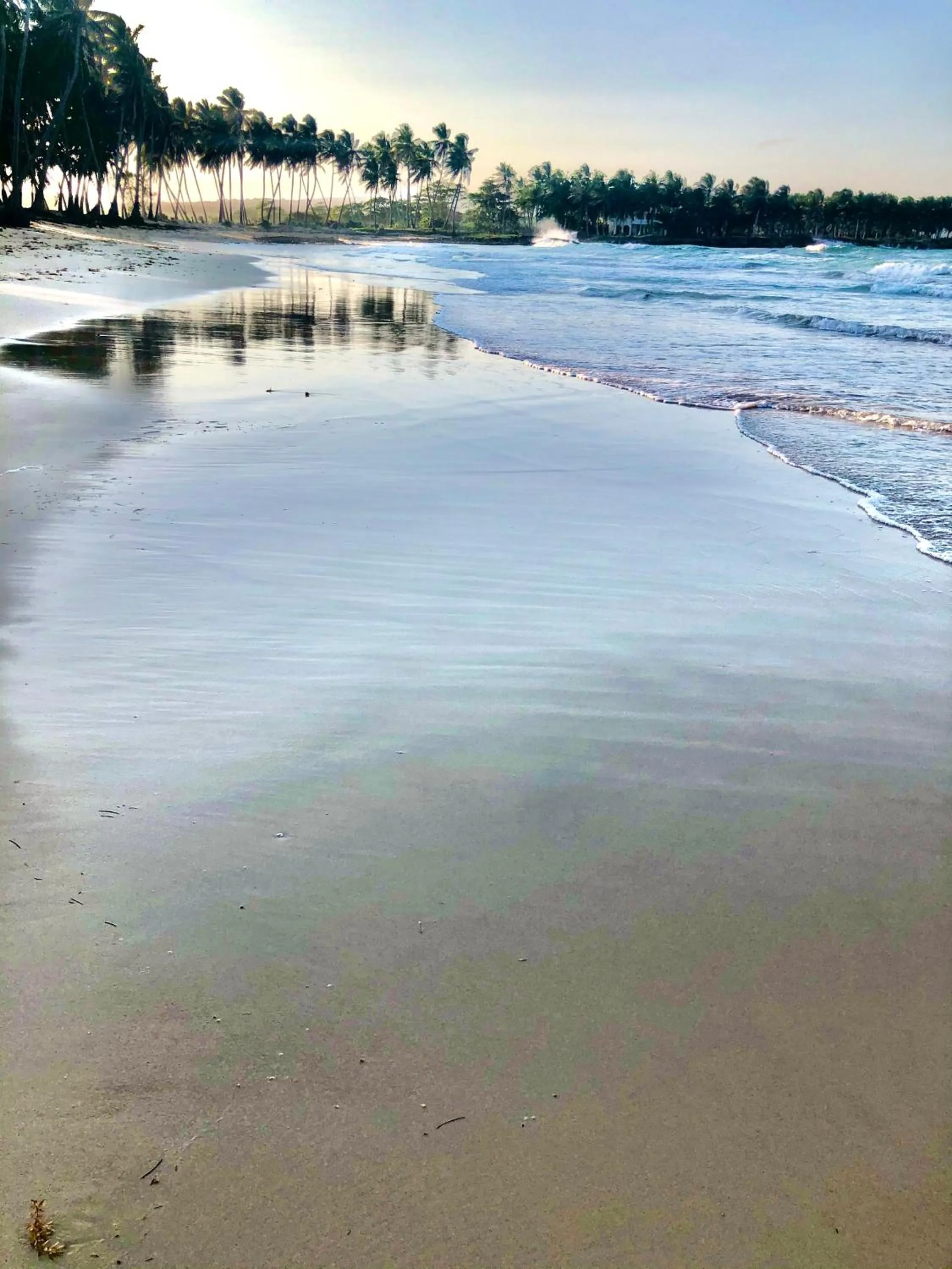 Beach in Baoba Breeze Bed & Breakfast- beachfront paradise