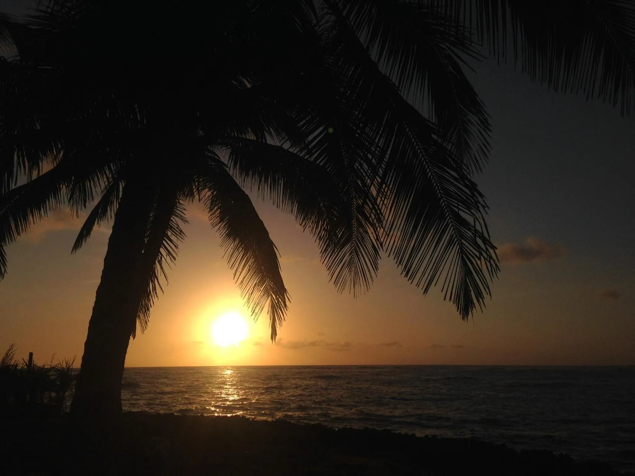 Natural landscape in Baoba Breeze Bed & Breakfast- beachfront paradise