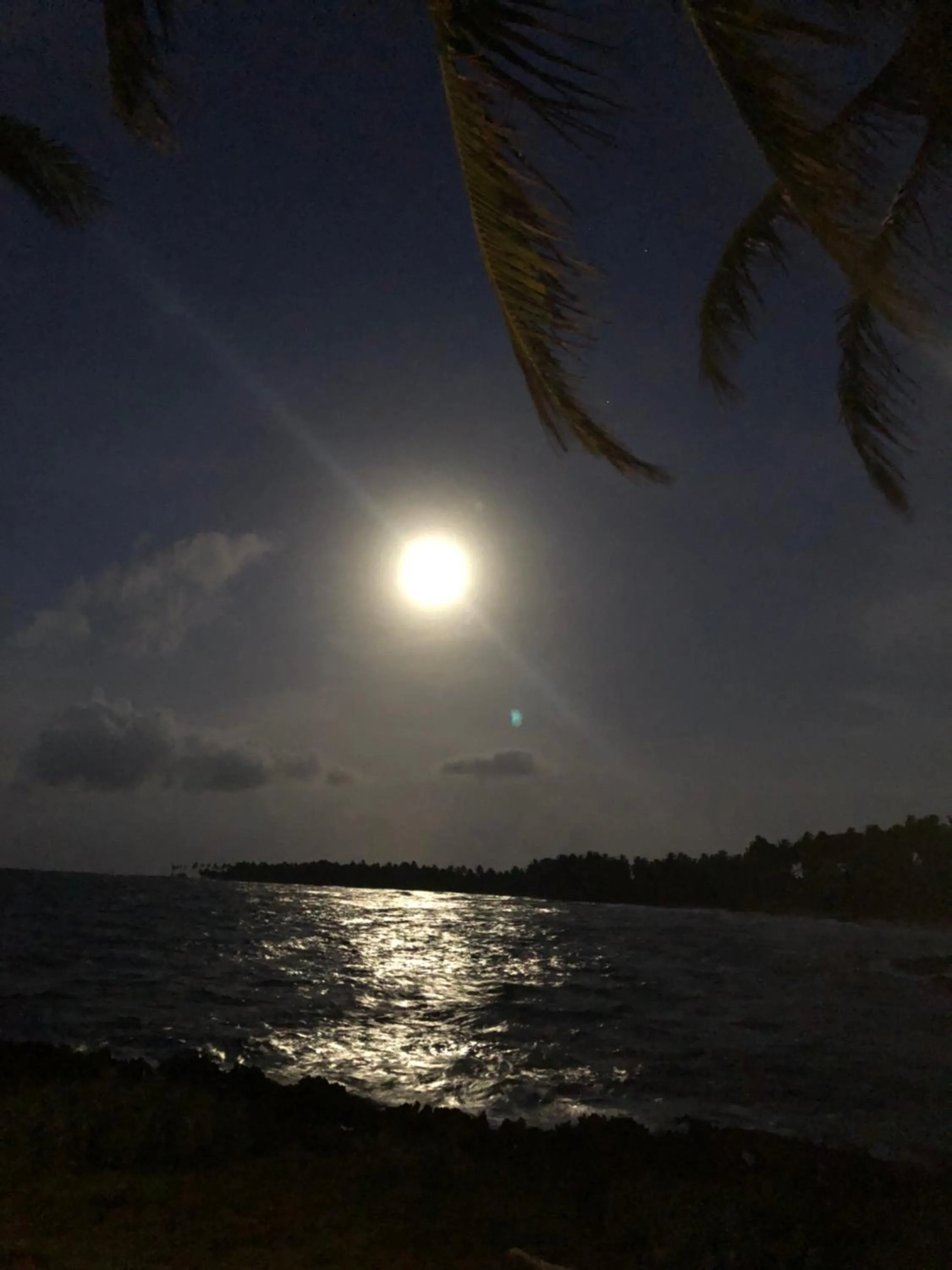 Night in Baoba Breeze Bed & Breakfast- beachfront paradise