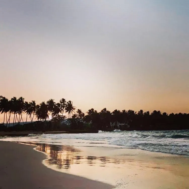 Beach in Baoba Breeze Bed & Breakfast- beachfront paradise