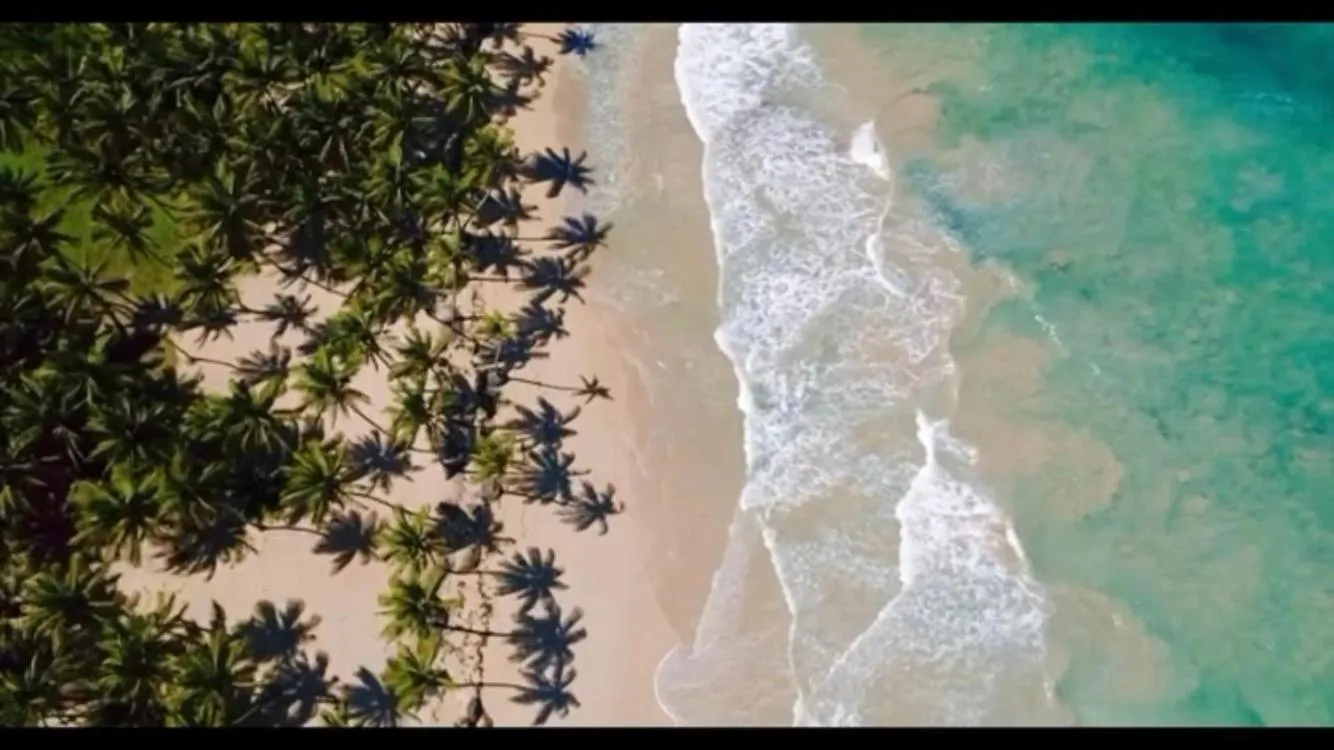 Beach in Baoba Breeze Bed & Breakfast- beachfront paradise