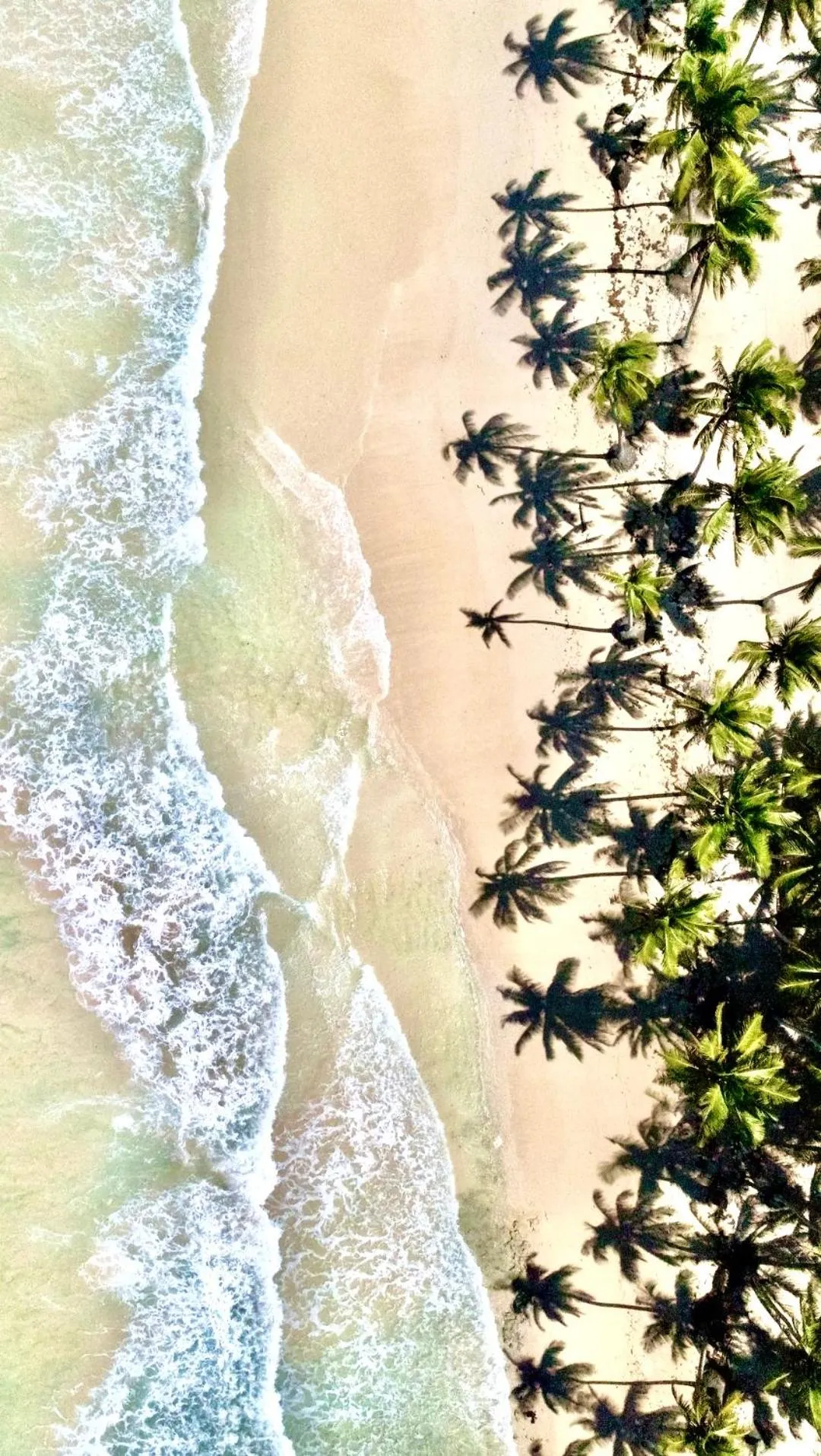 Beach in Baoba Breeze Bed & Breakfast- beachfront paradise