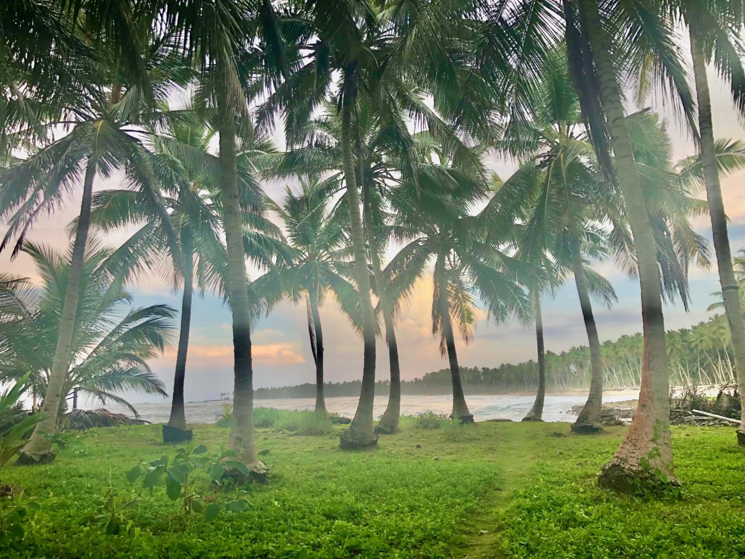 Garden in Baoba Breeze Bed & Breakfast- beachfront paradise