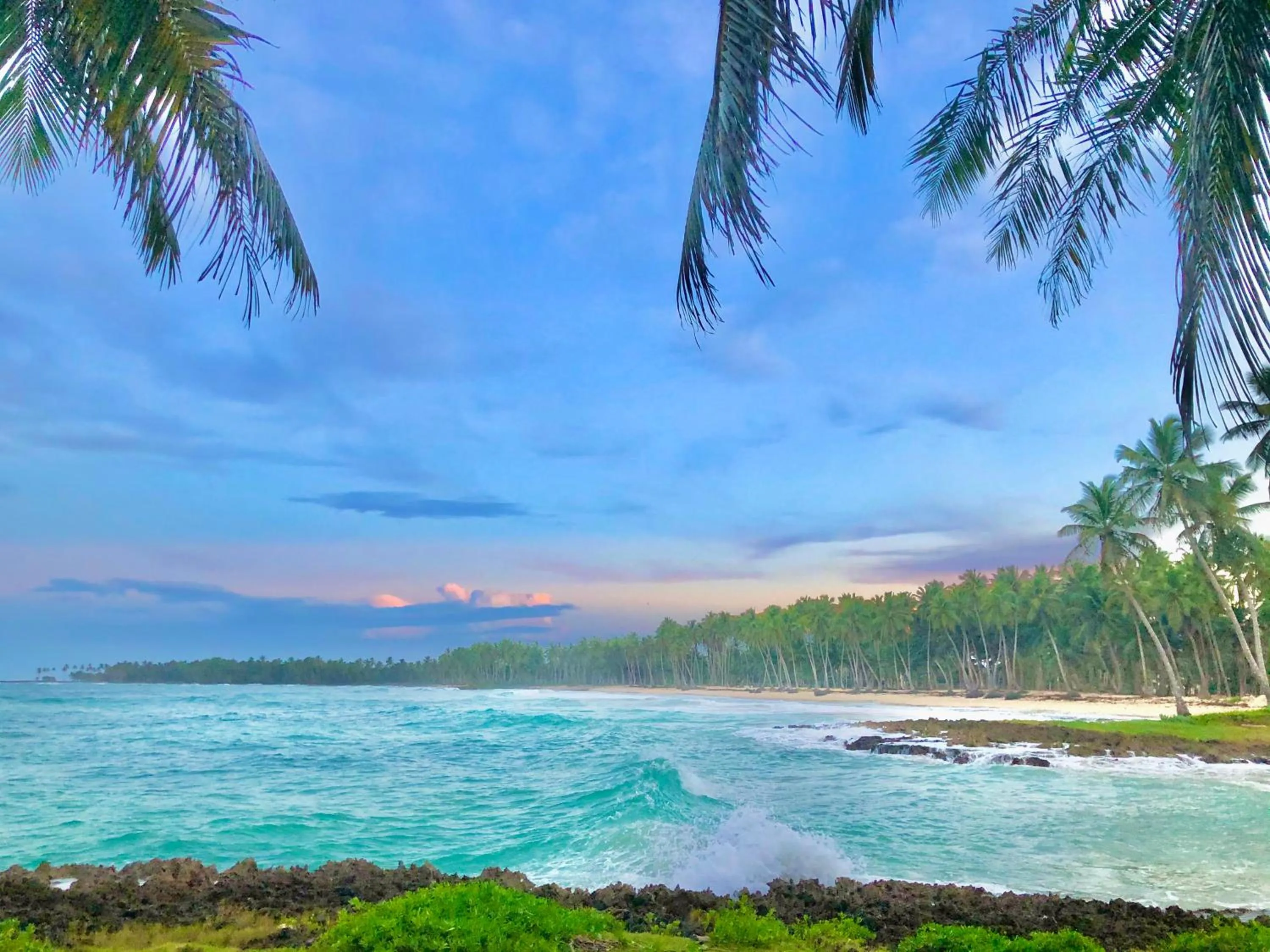 Natural landscape in Baoba Breeze Bed & Breakfast- beachfront paradise