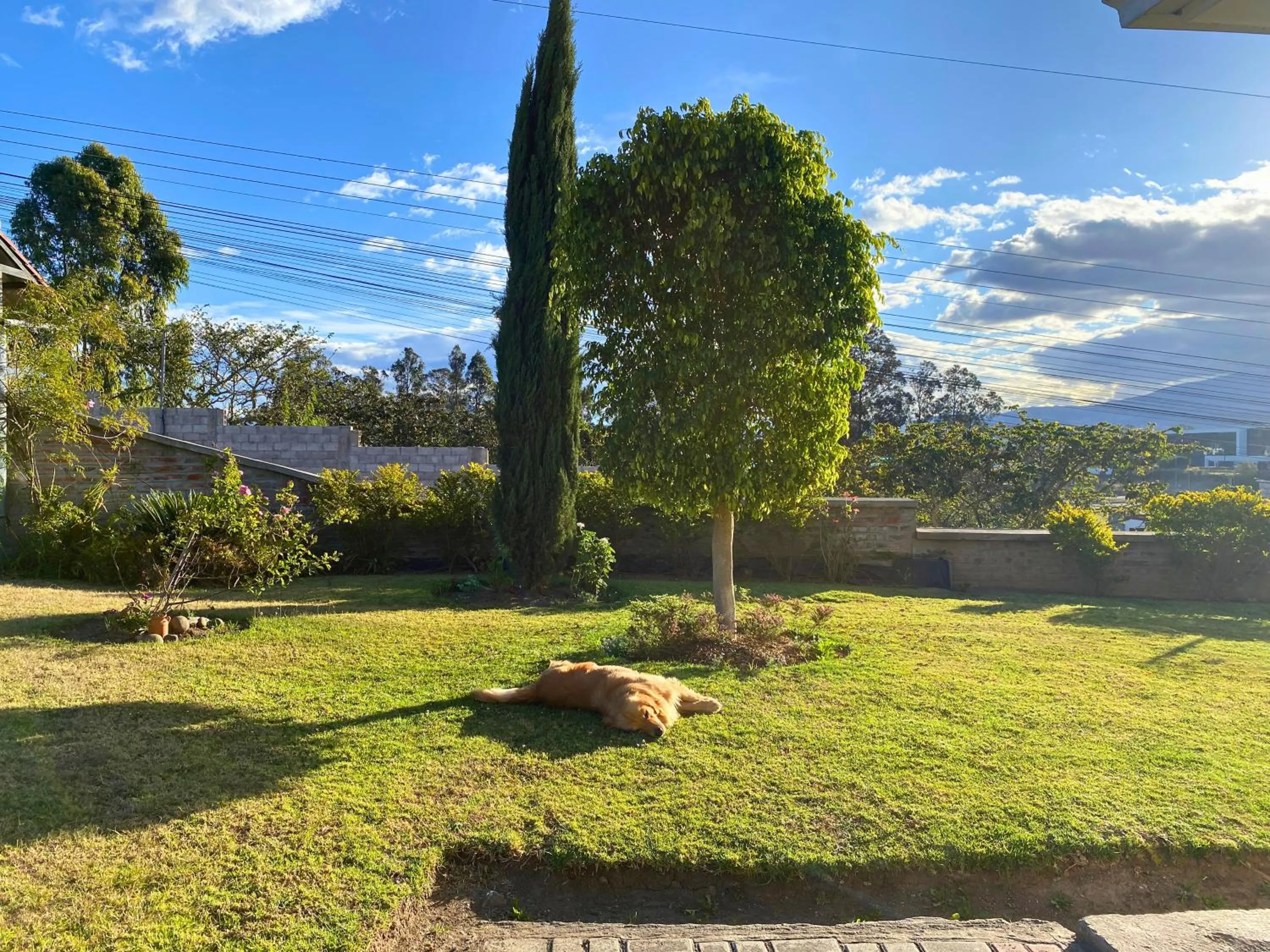 Garden in Las Hortensia's Casa De Huespedes
