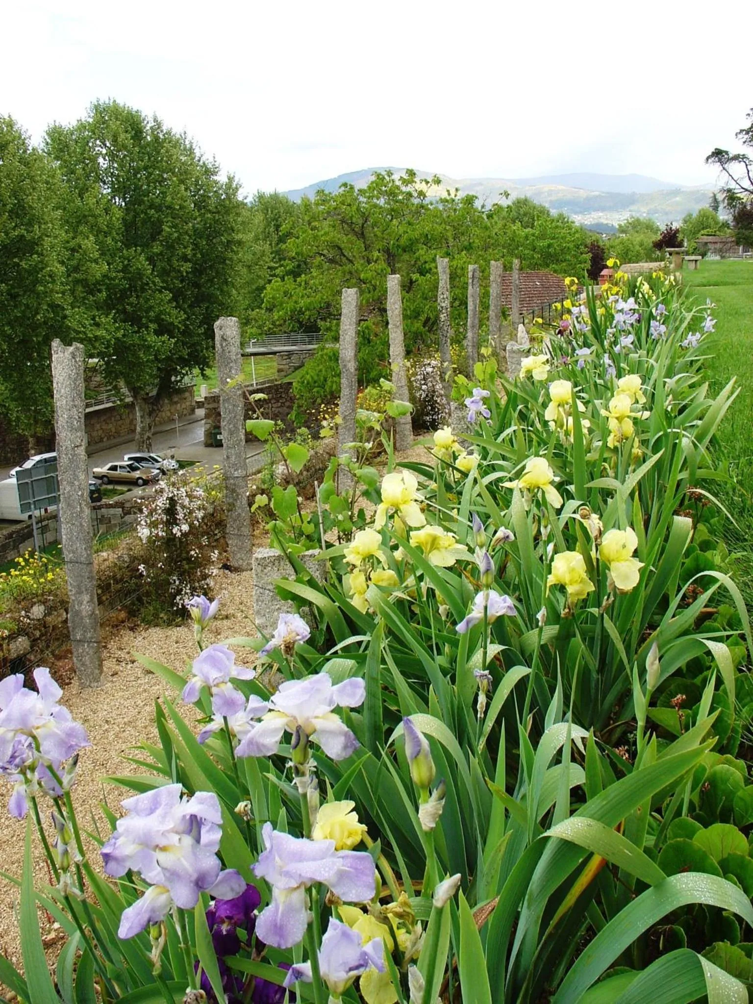 Garden in Hotel Convento dos Capuchos