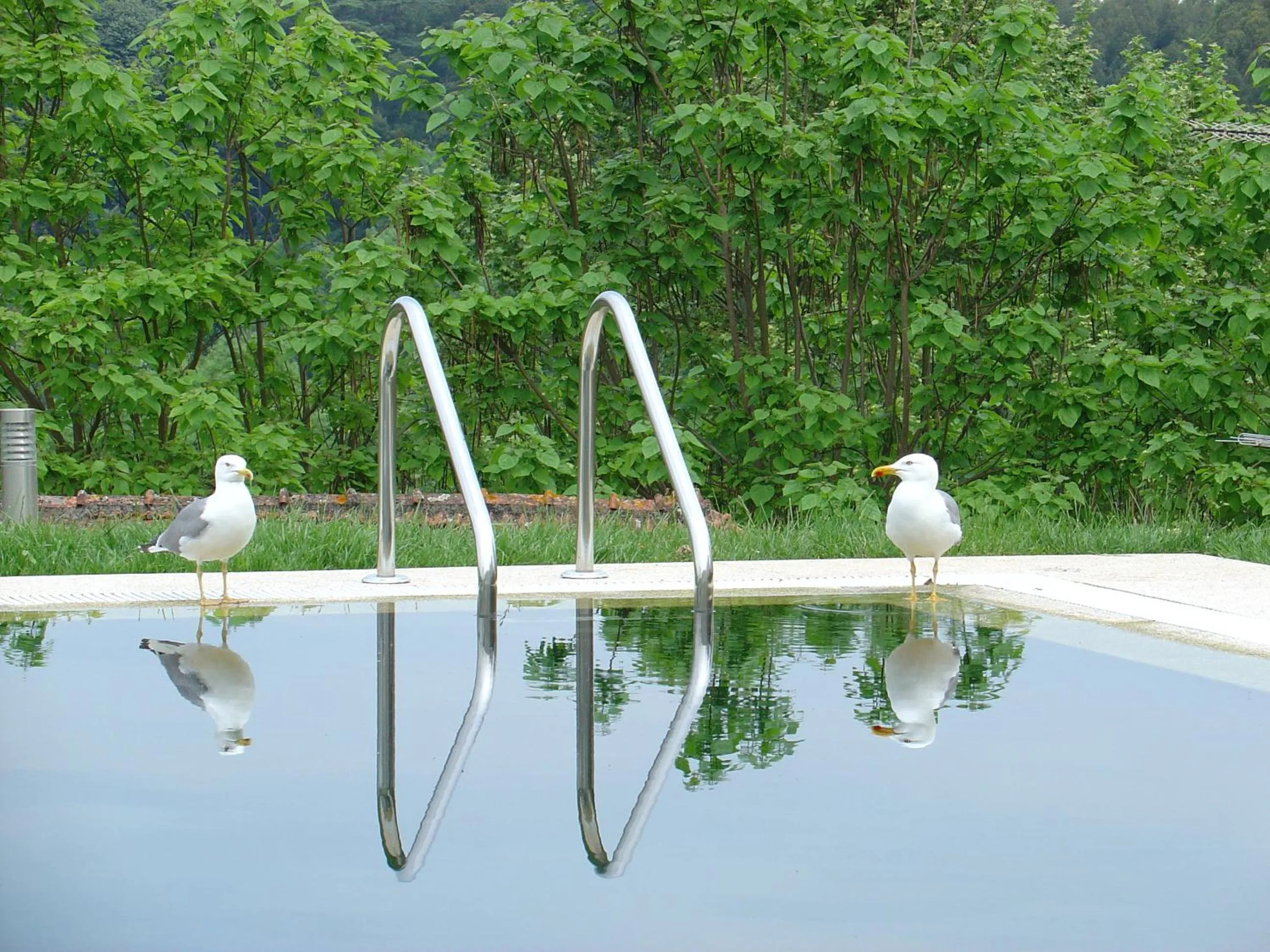 Swimming pool in Hotel Convento dos Capuchos