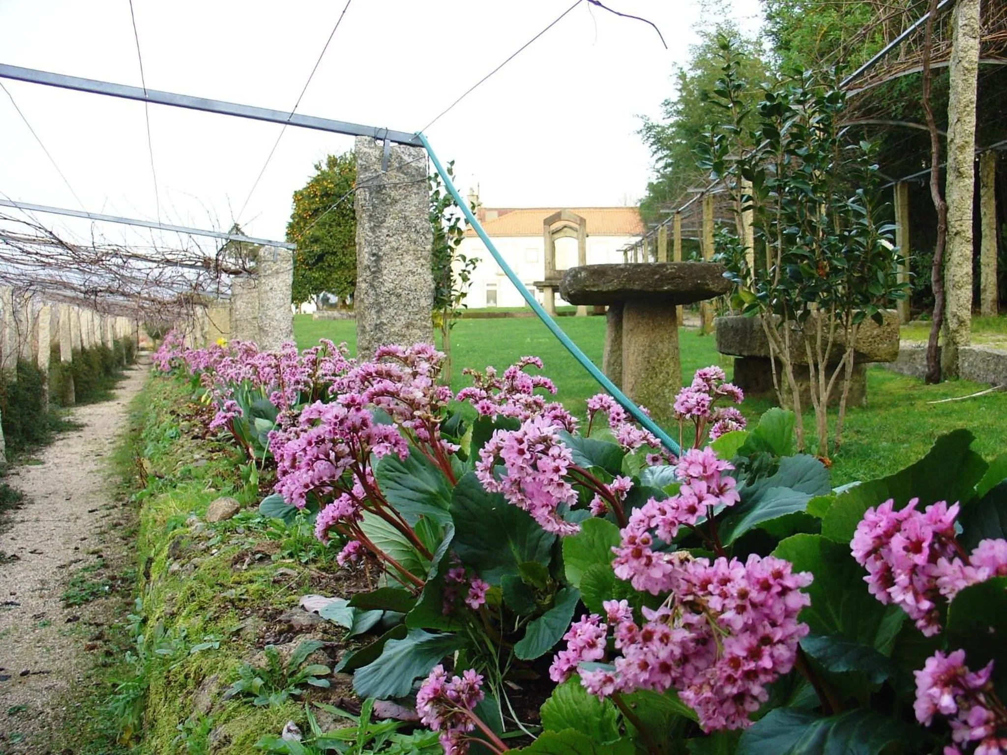 Garden in Hotel Convento dos Capuchos