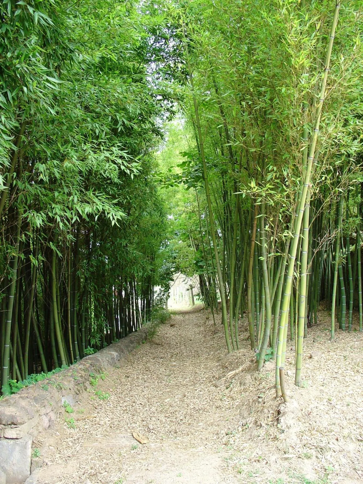 Area and facilities in Hotel Convento dos Capuchos