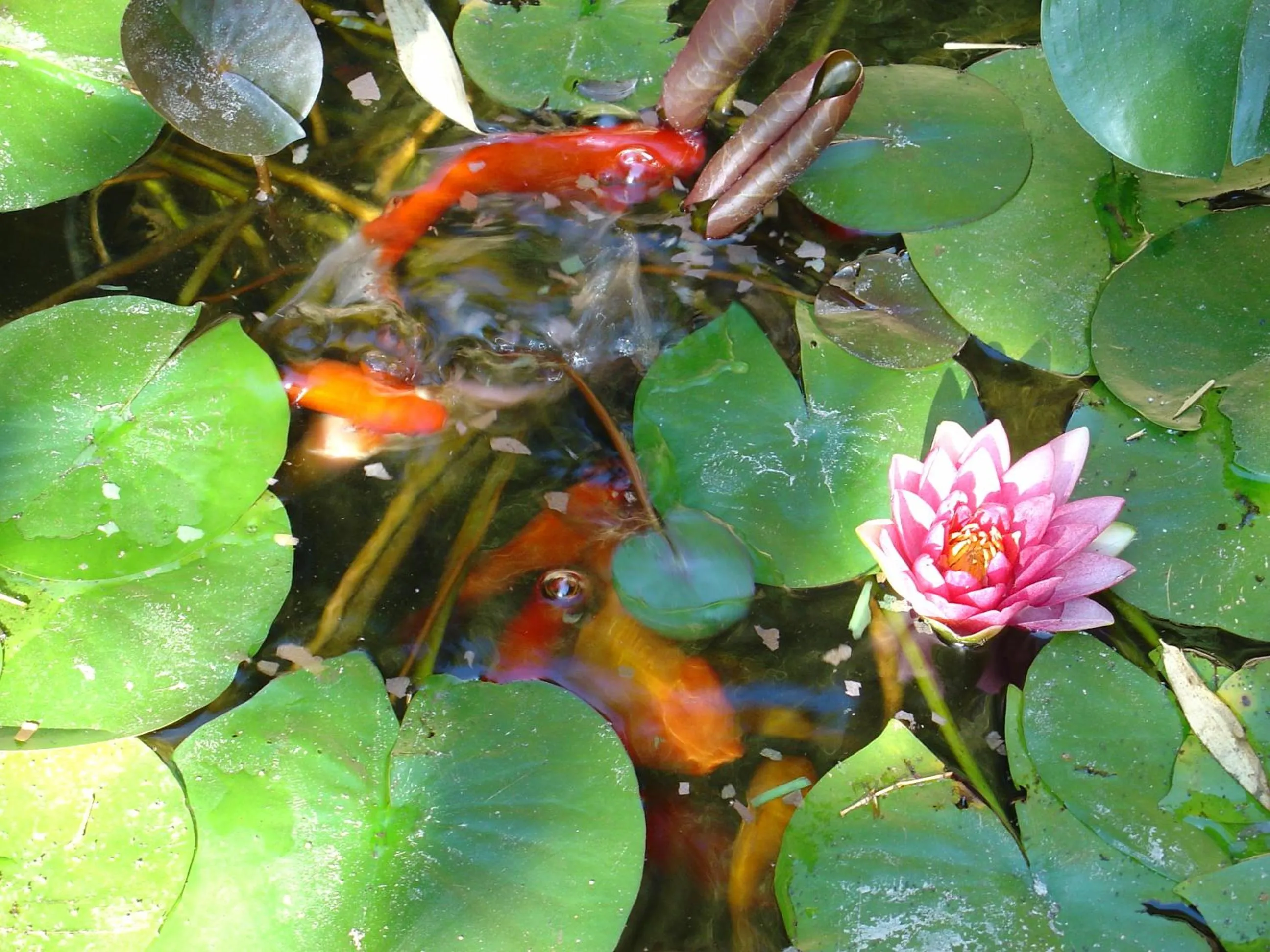Decorative detail in Hotel Convento dos Capuchos