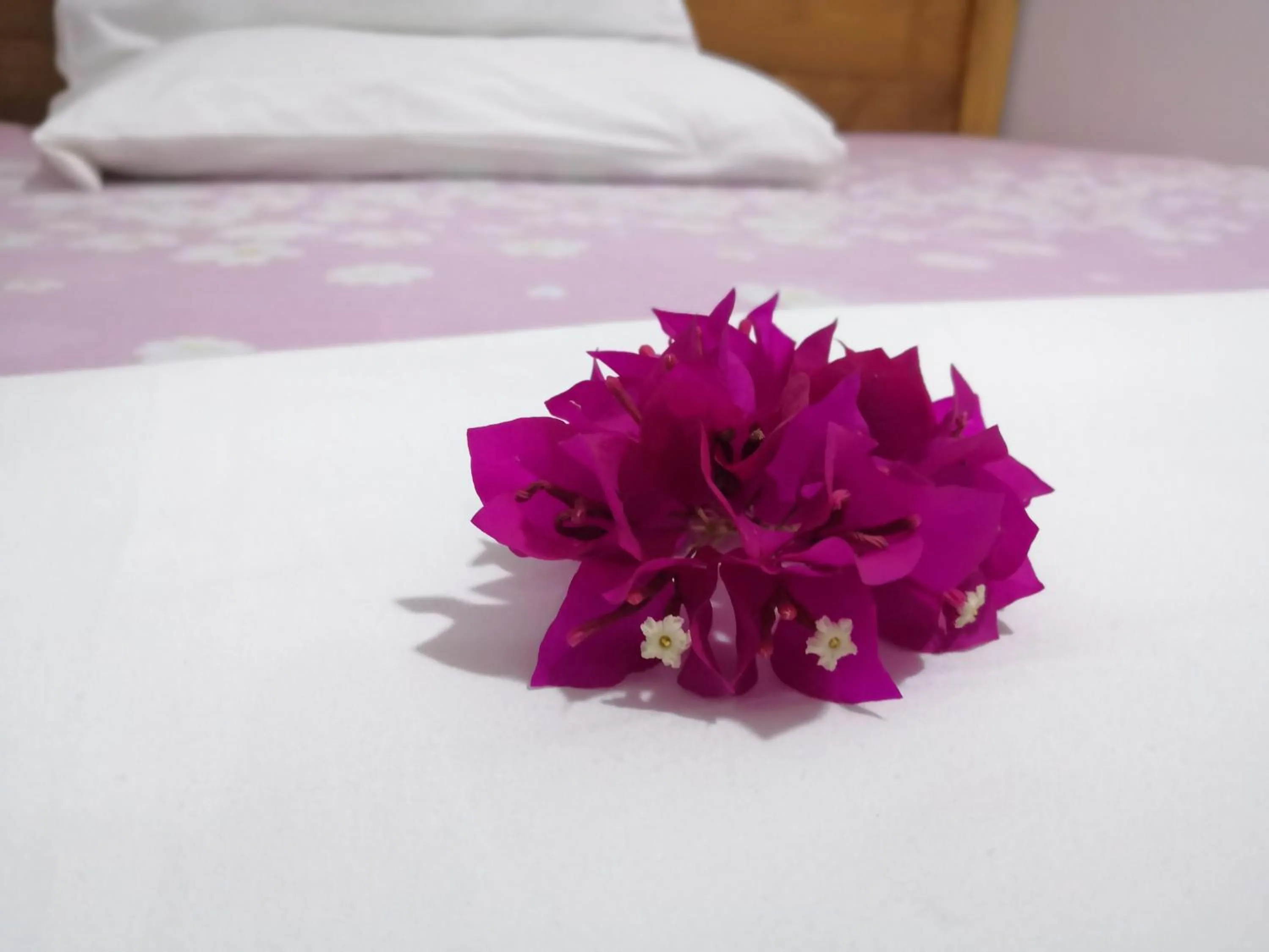 Bed in Villa Kivi
