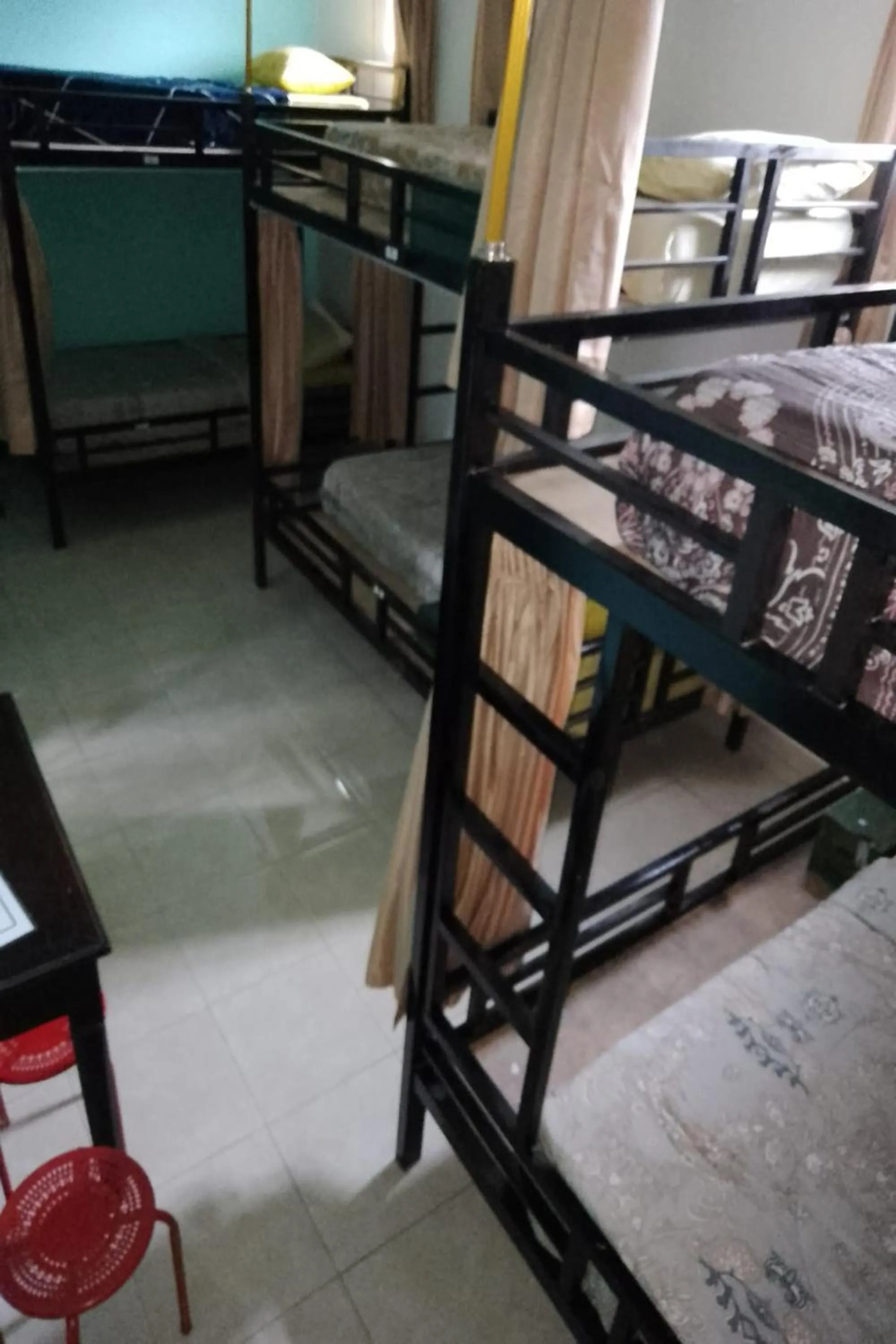 Bed in Downtown Monkey Forest Hostel