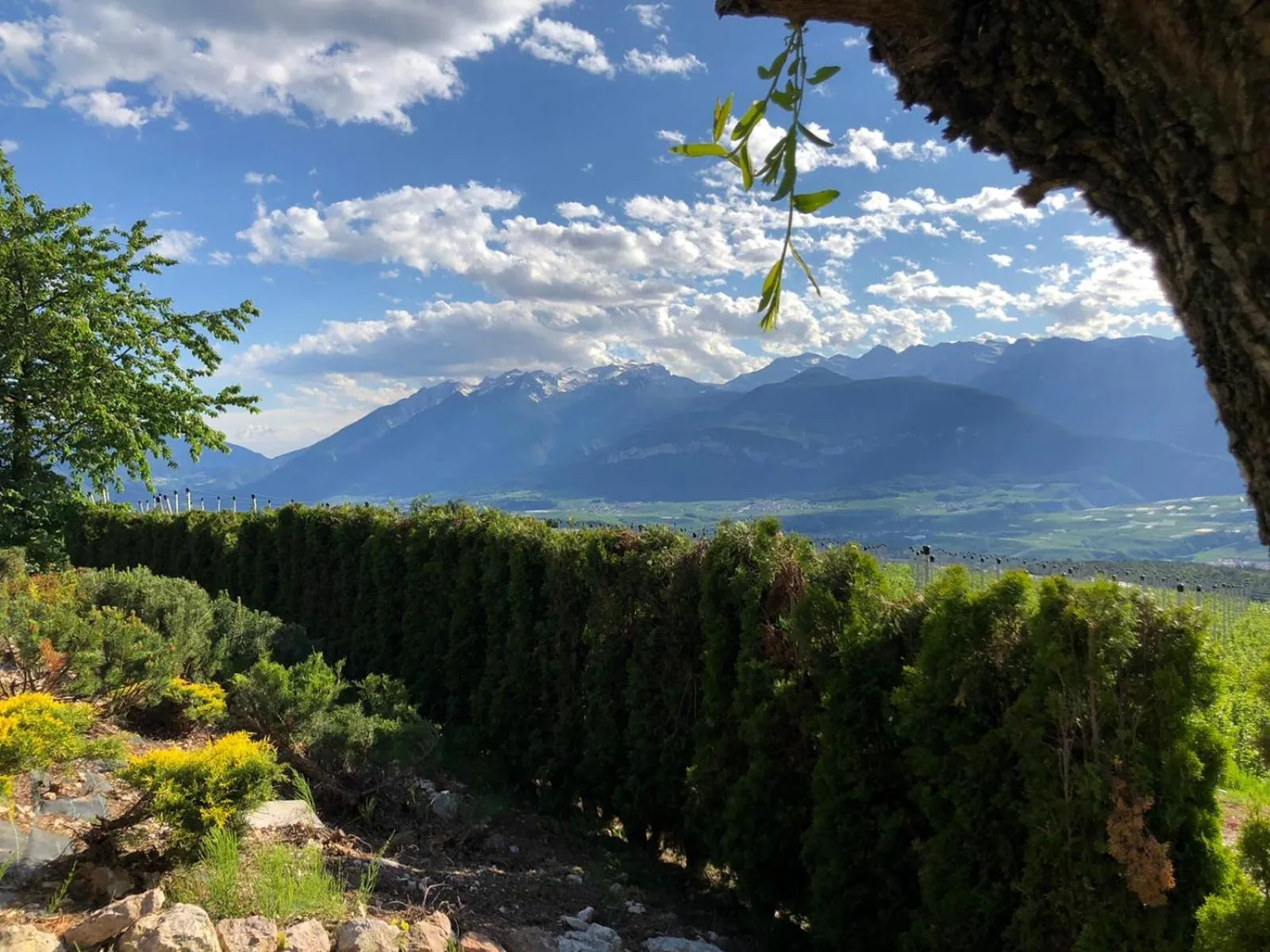 Mountain View in Hotel Antica Torre
