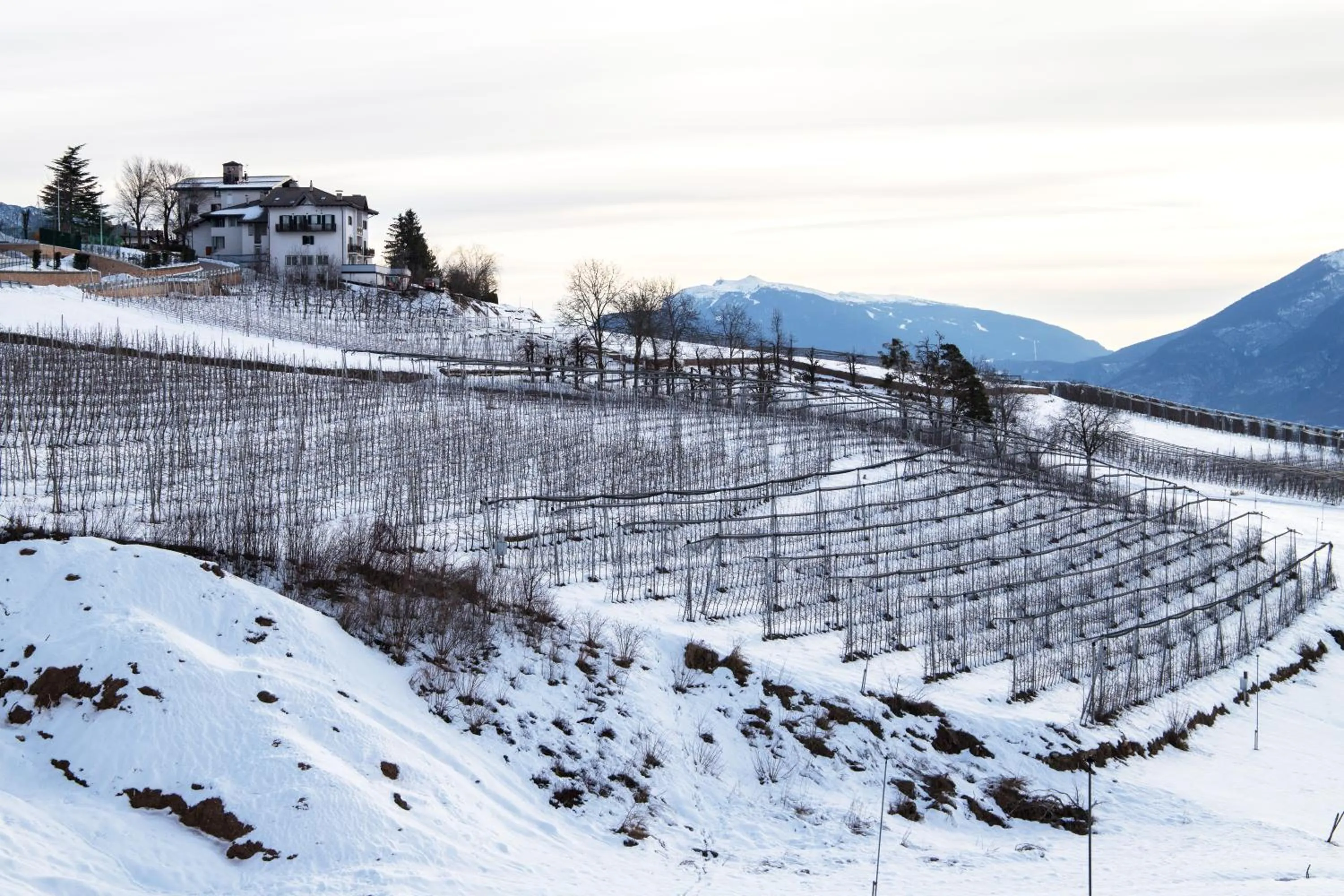 Street view, Winter in Hotel Antica Torre