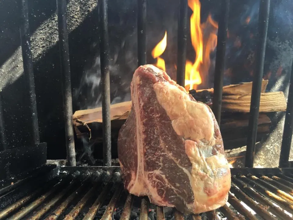 Other Animals in Hotel Antica Torre