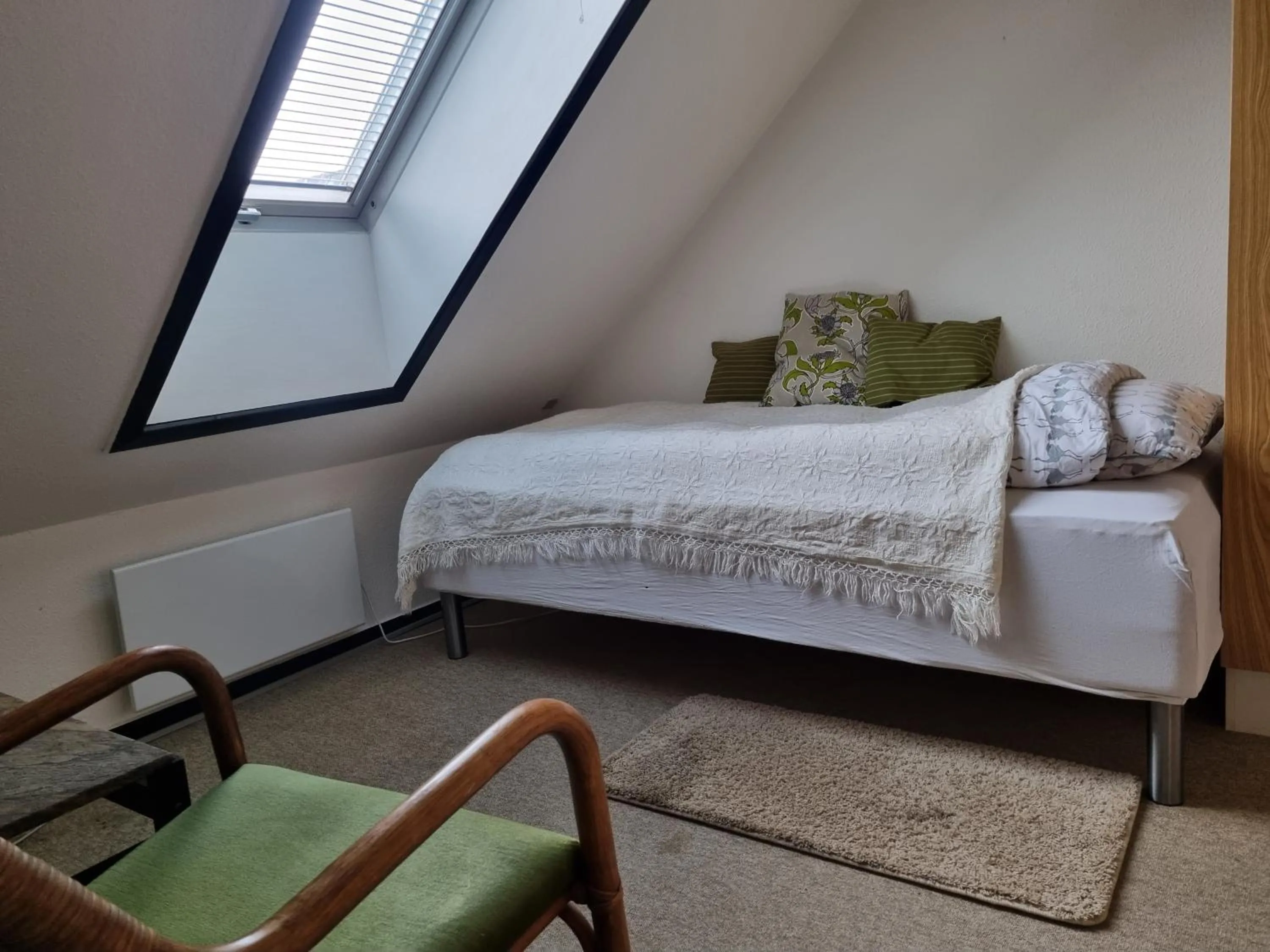 Single Room in Mikkelborg Kro