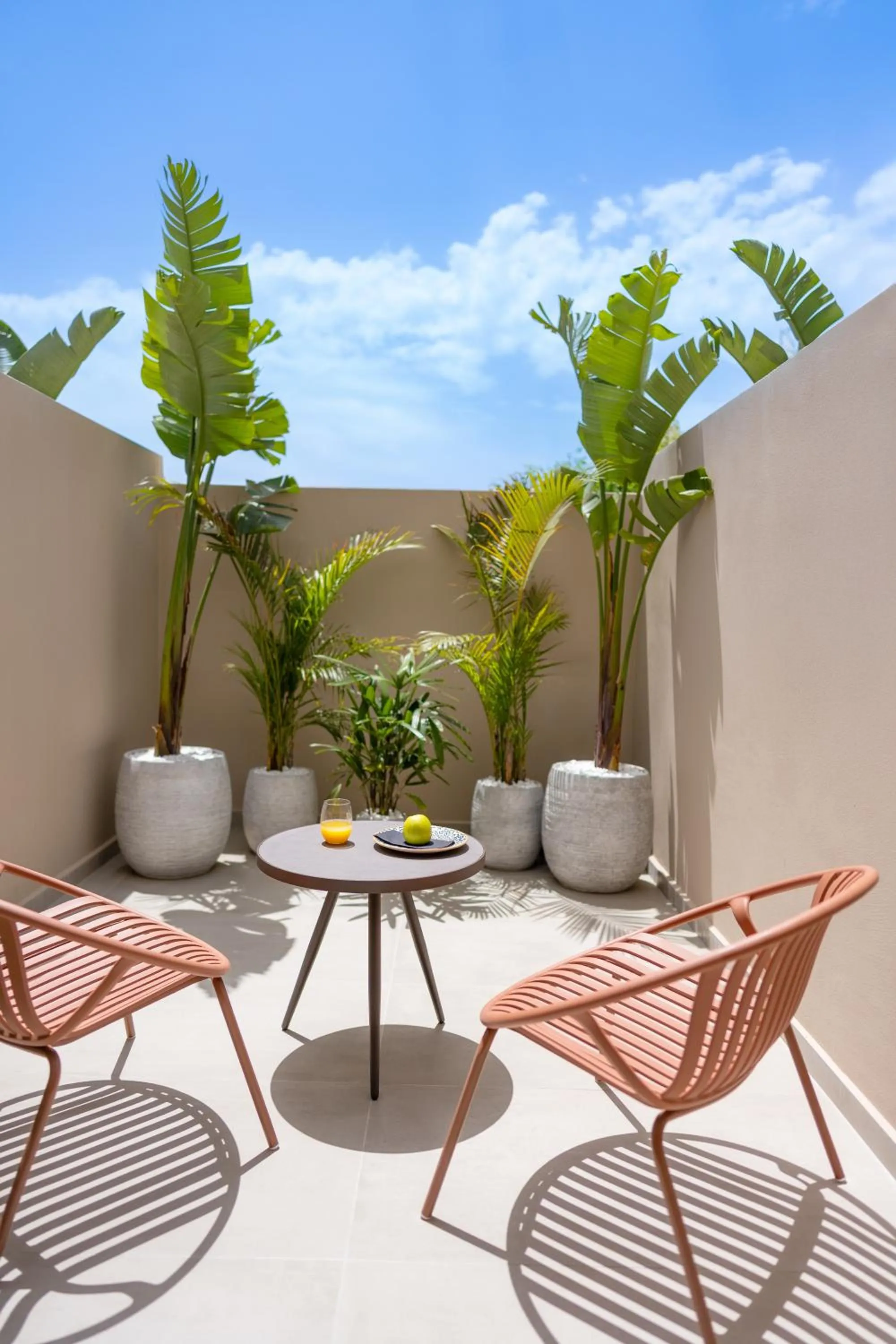 Balcony/Terrace in Hippocampus Boutique Hotel