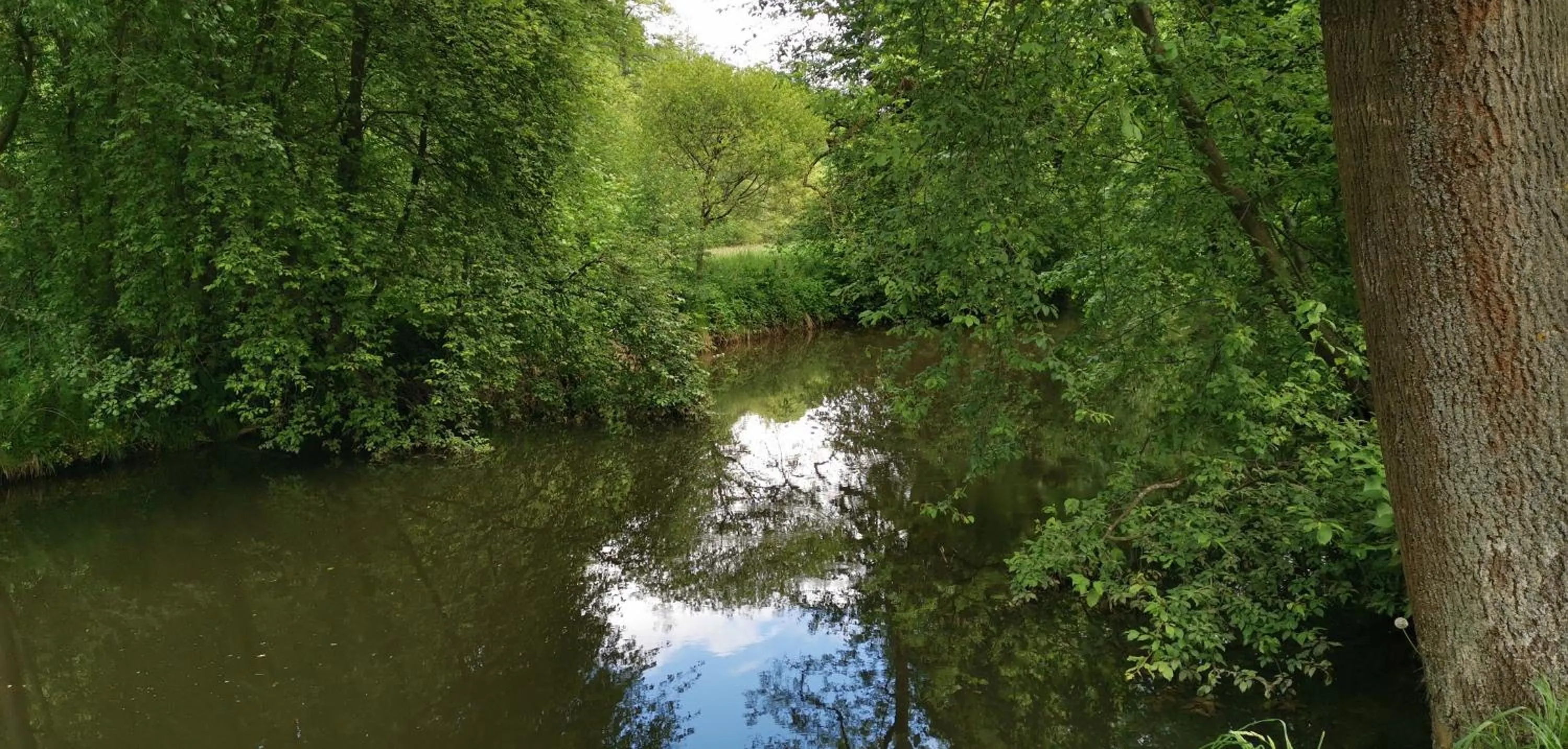 Canoeing in Turisticka ubytovna Cakle