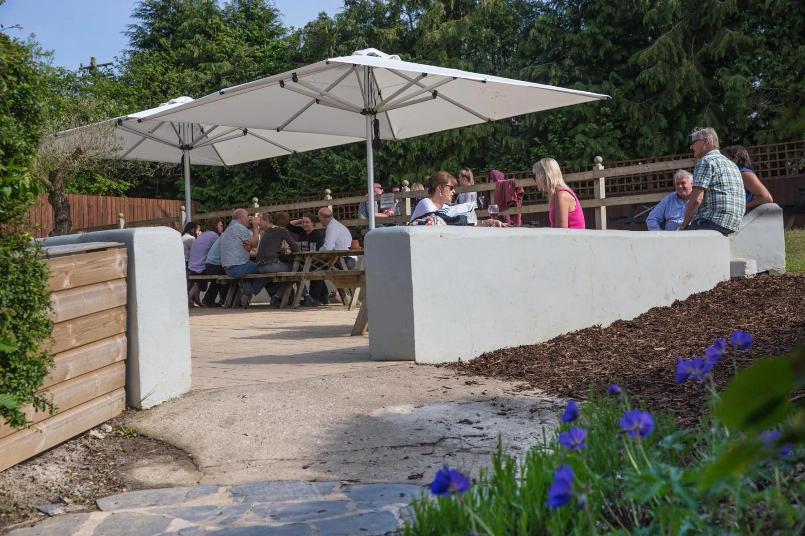 Garden in The Cott Inn