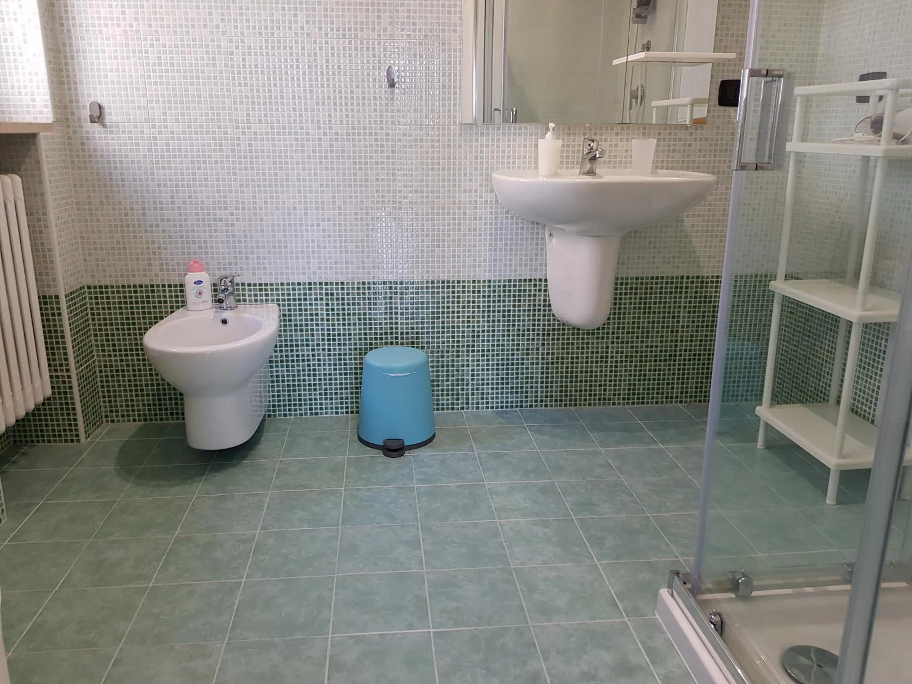 Bathroom in Tanzi Home