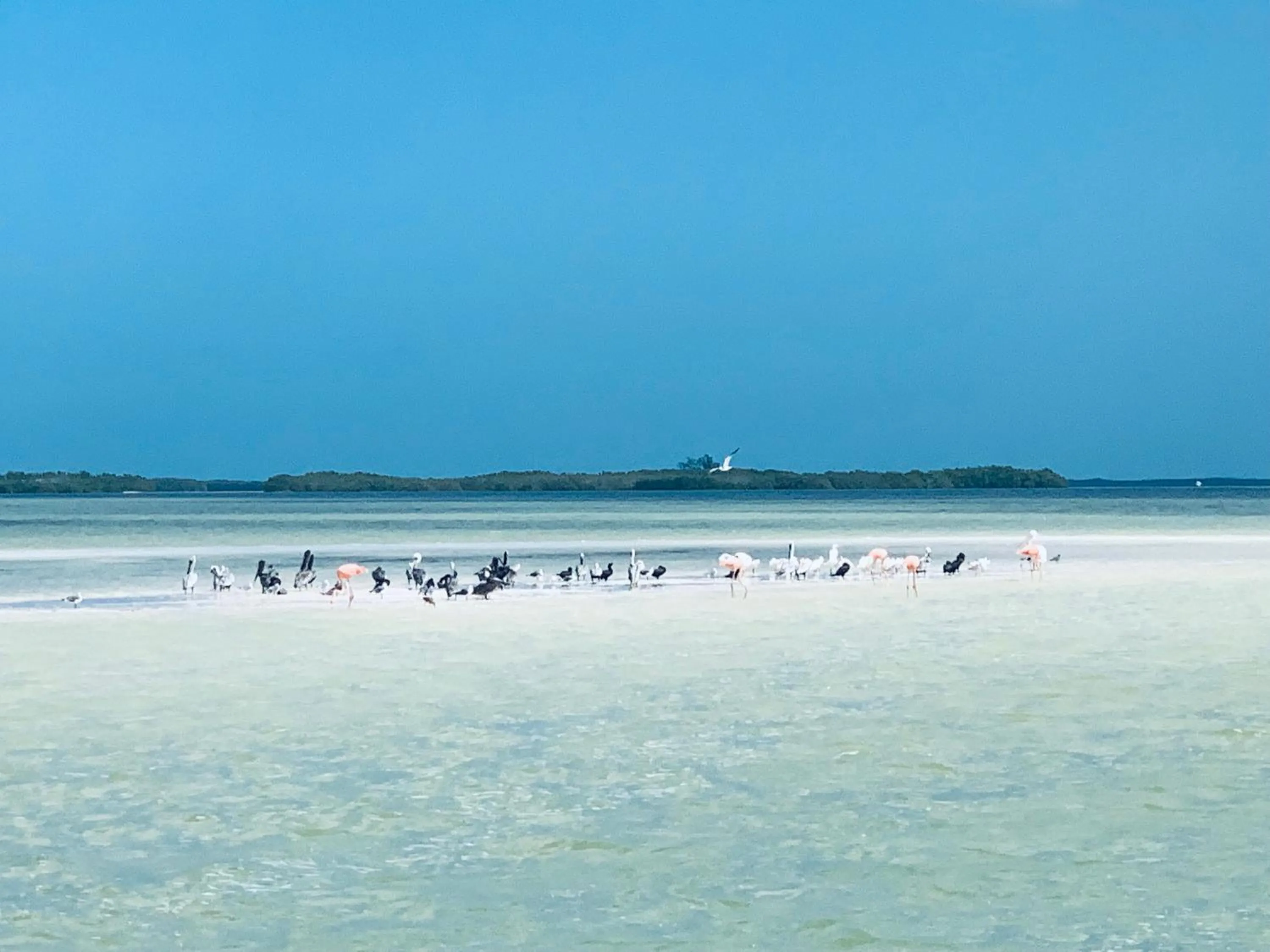 Beach in El Corazón Boutique Hotel - Adults Only with Beach Club pass included