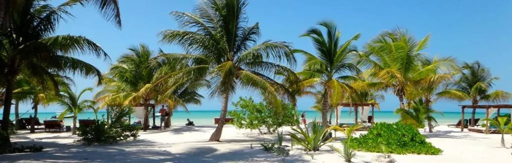 Beach in El Corazón Boutique Hotel - Adults Only with Beach Club pass included