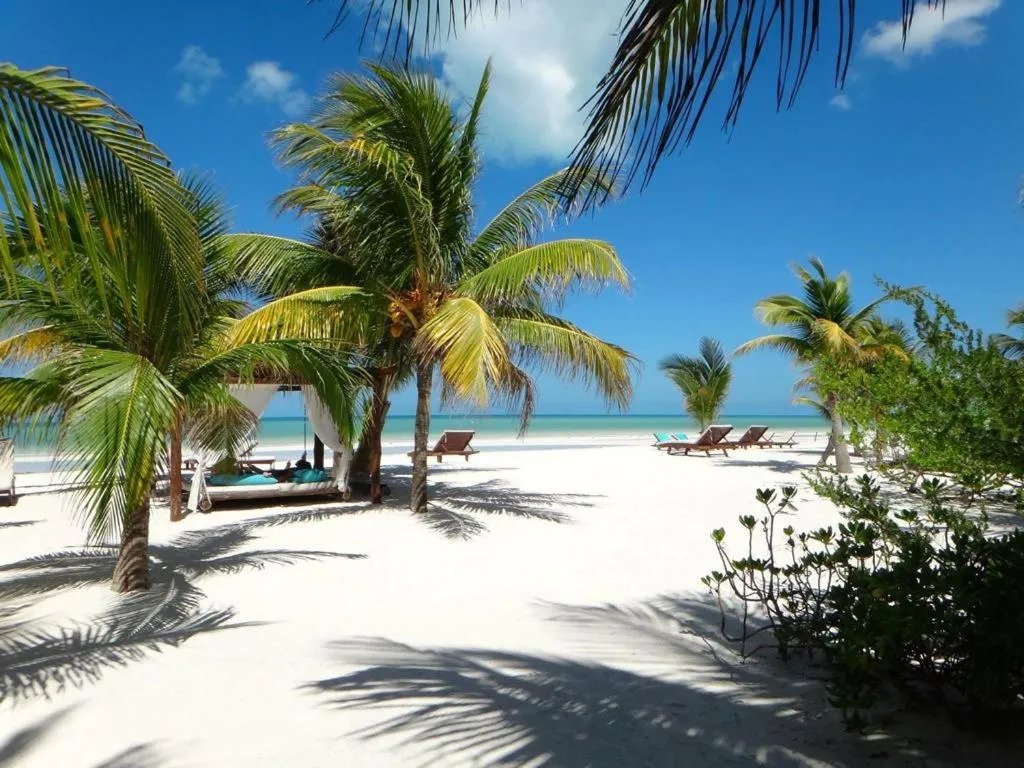 Beach in El Corazón Boutique Hotel - Adults Only with Beach Club pass included