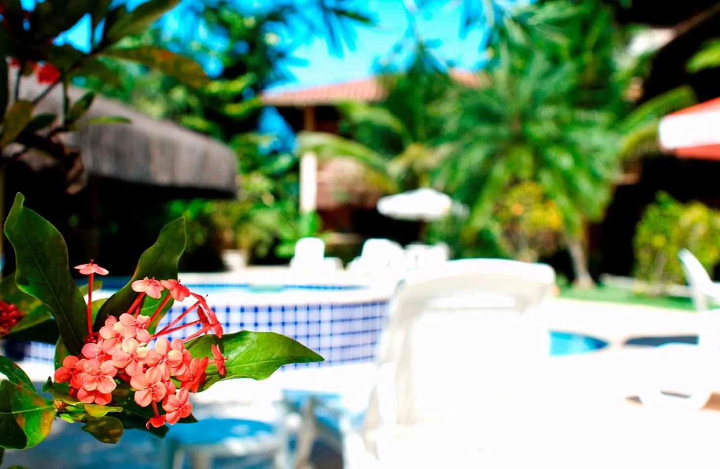 Day in Pousada Bico Verde