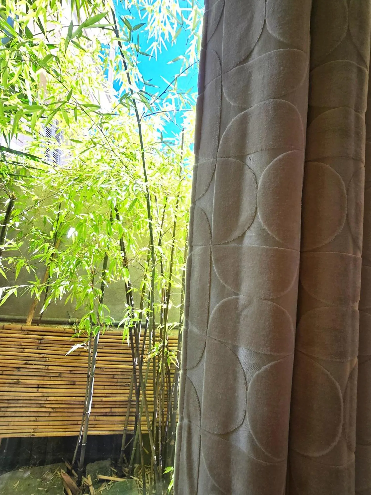 Decorative detail in Palm Gallery Hotel