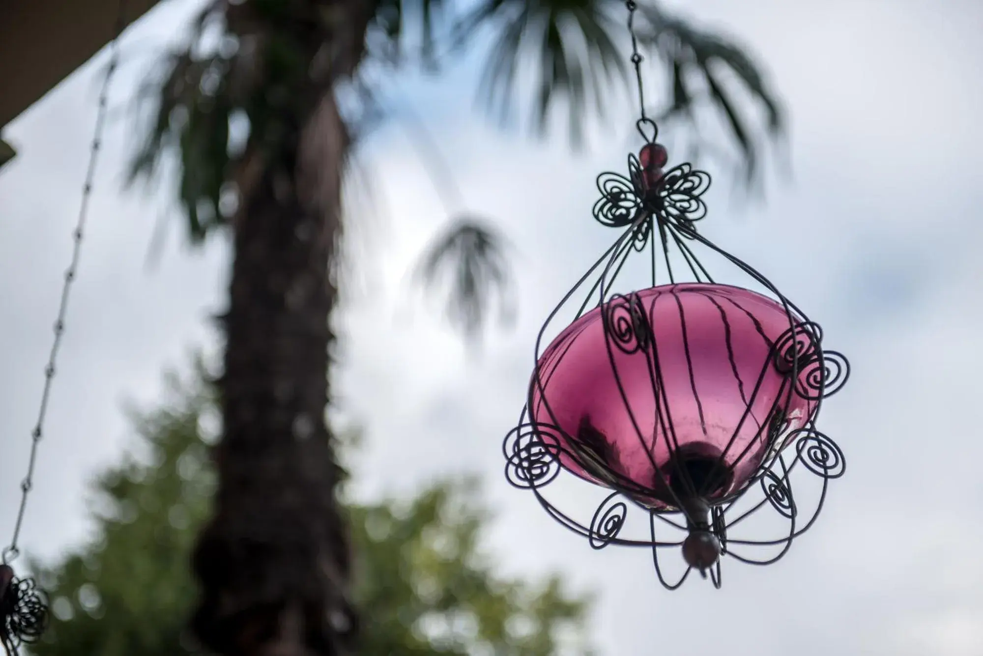 Property building in Palm Gallery Hotel Property building in Palm Gallery Hotel