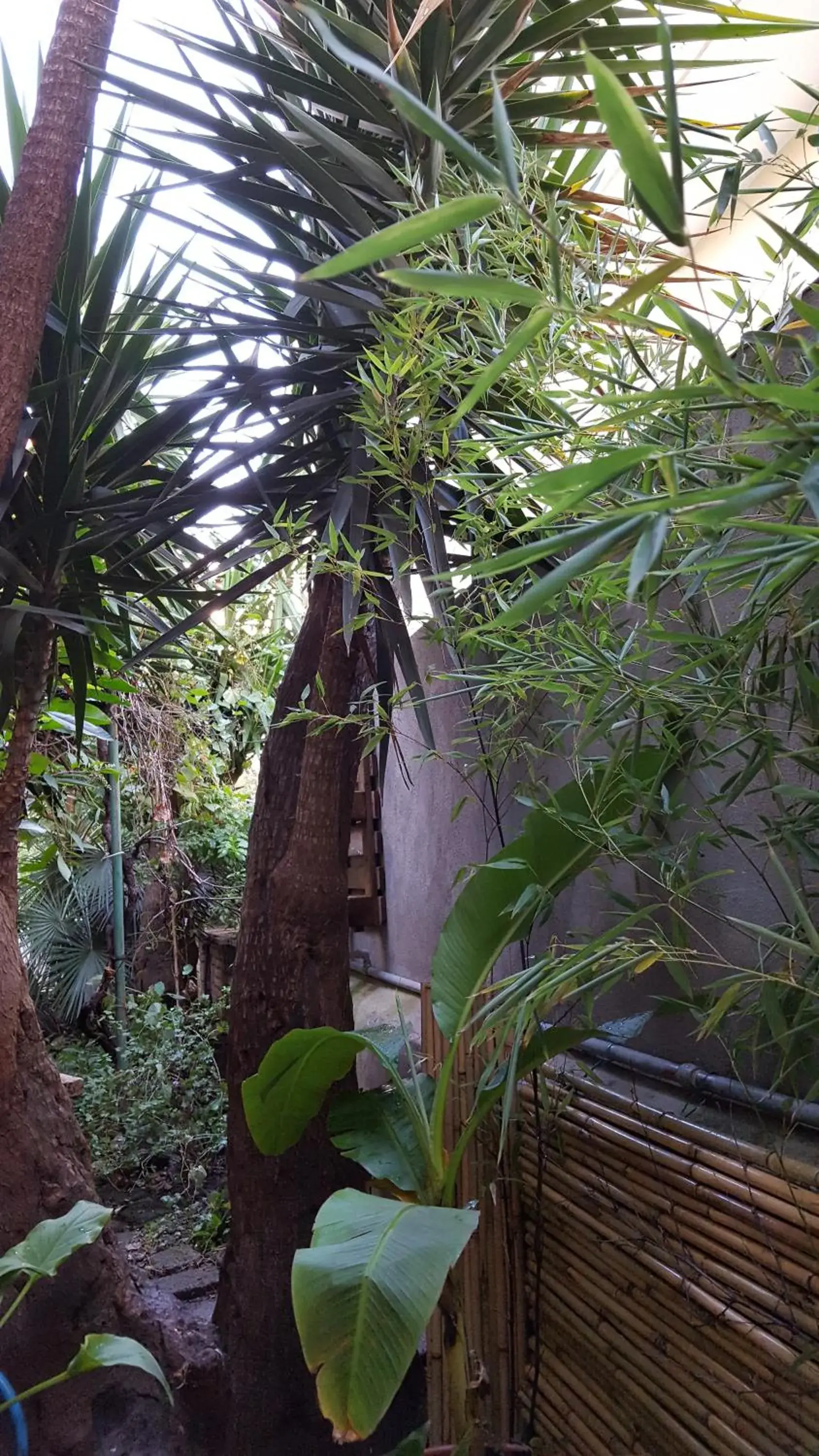 King Room with Garden View - single occupancy in Palm Gallery Hotel King Room with Garden View - single occupancy in Palm Gallery Hotel