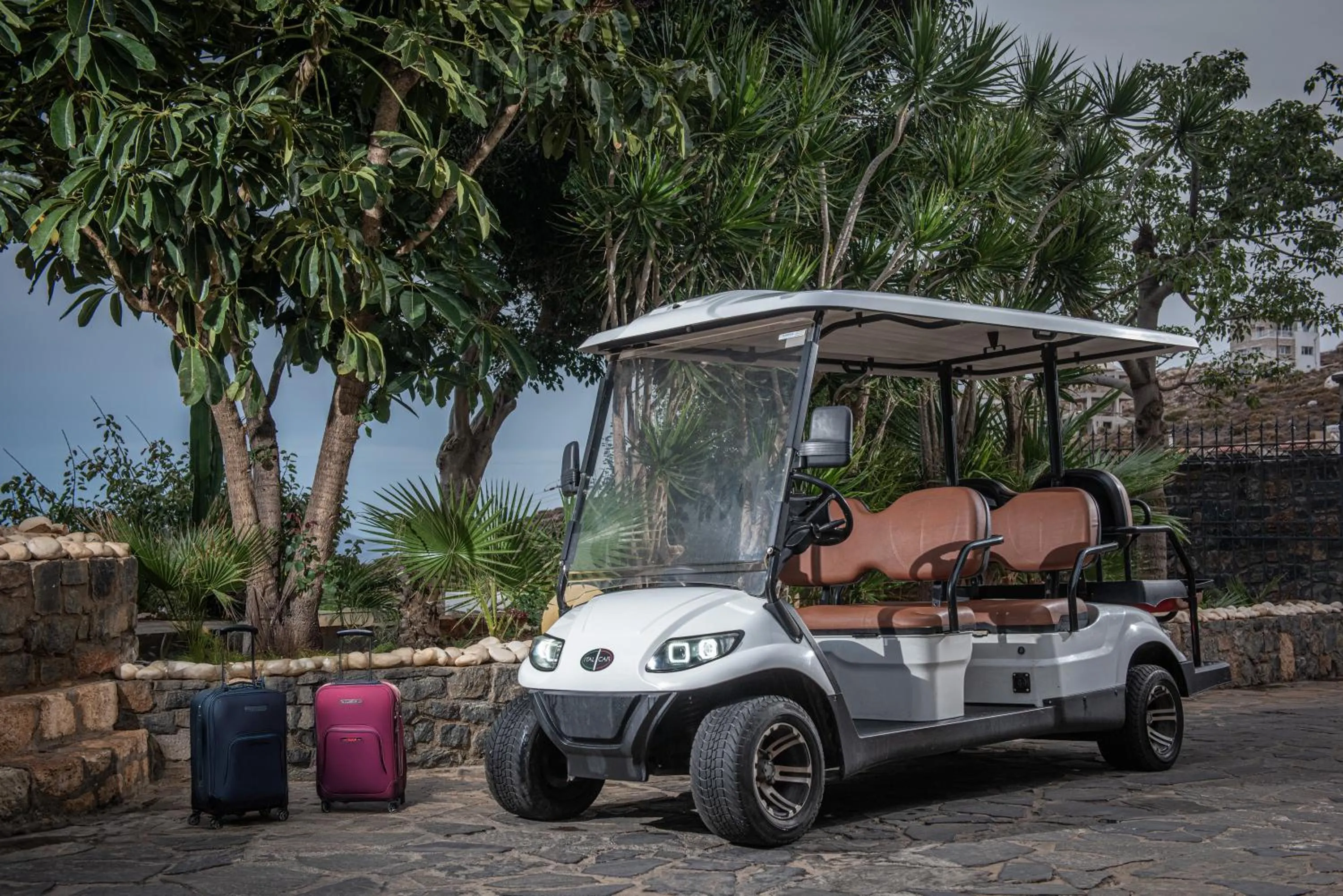 Day in Happy Cretan Suites