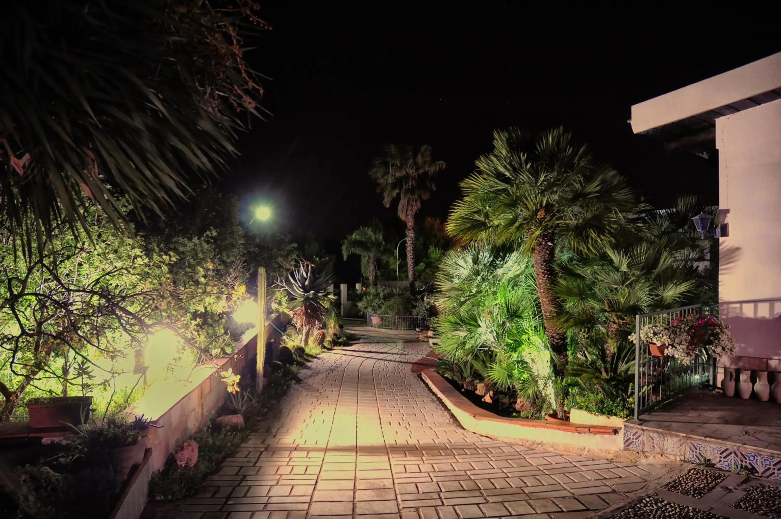 Night in Federico Re