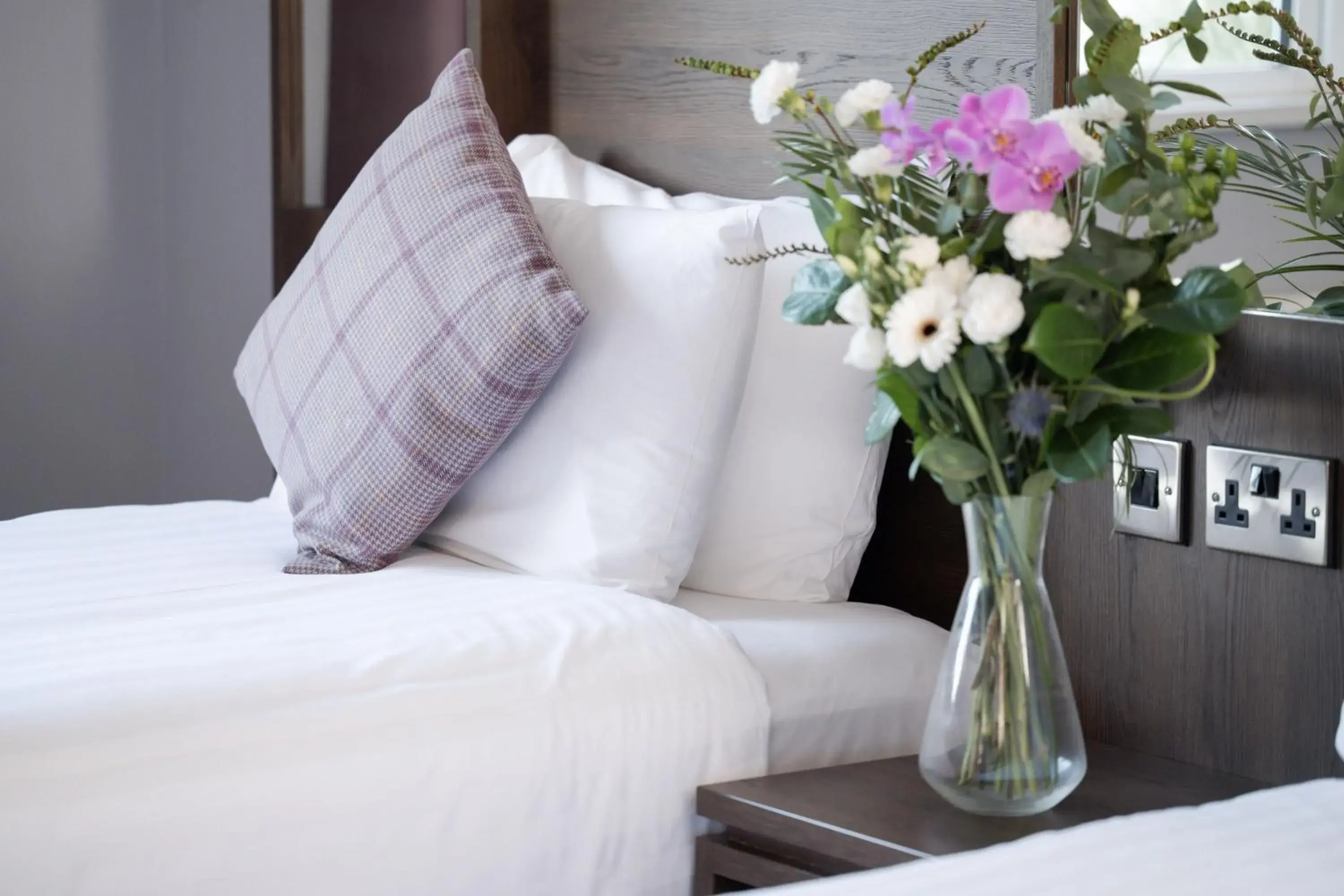 Single Room in Jackson's Hotel & Leisure Centre Single Room in Jackson's Hotel & Leisure Centre