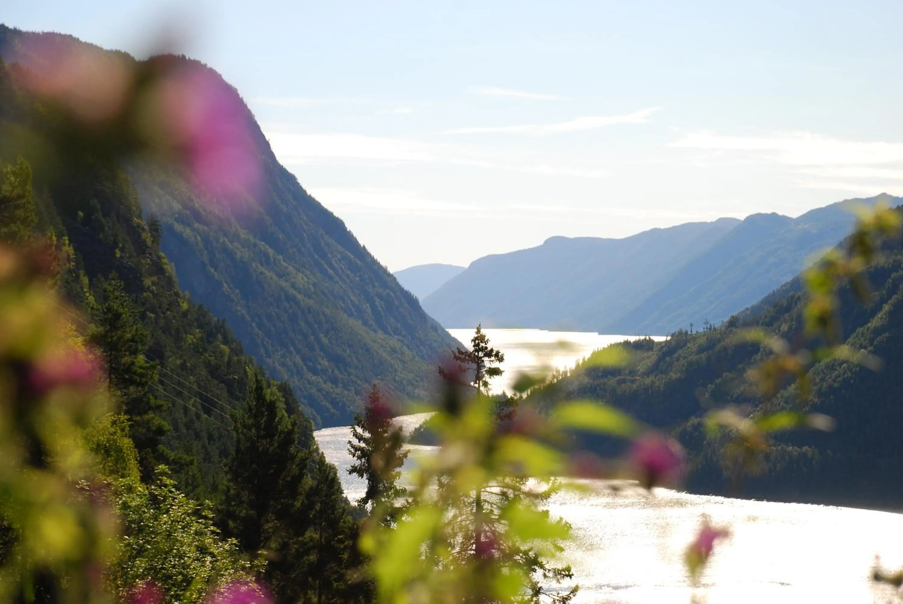 Natural landscape in Dalen Bed & Breakfast