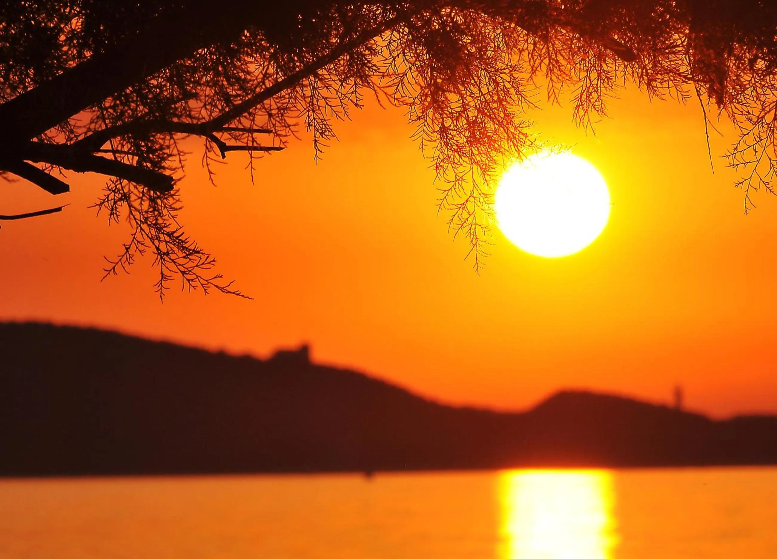 Other in Hotel Tettola