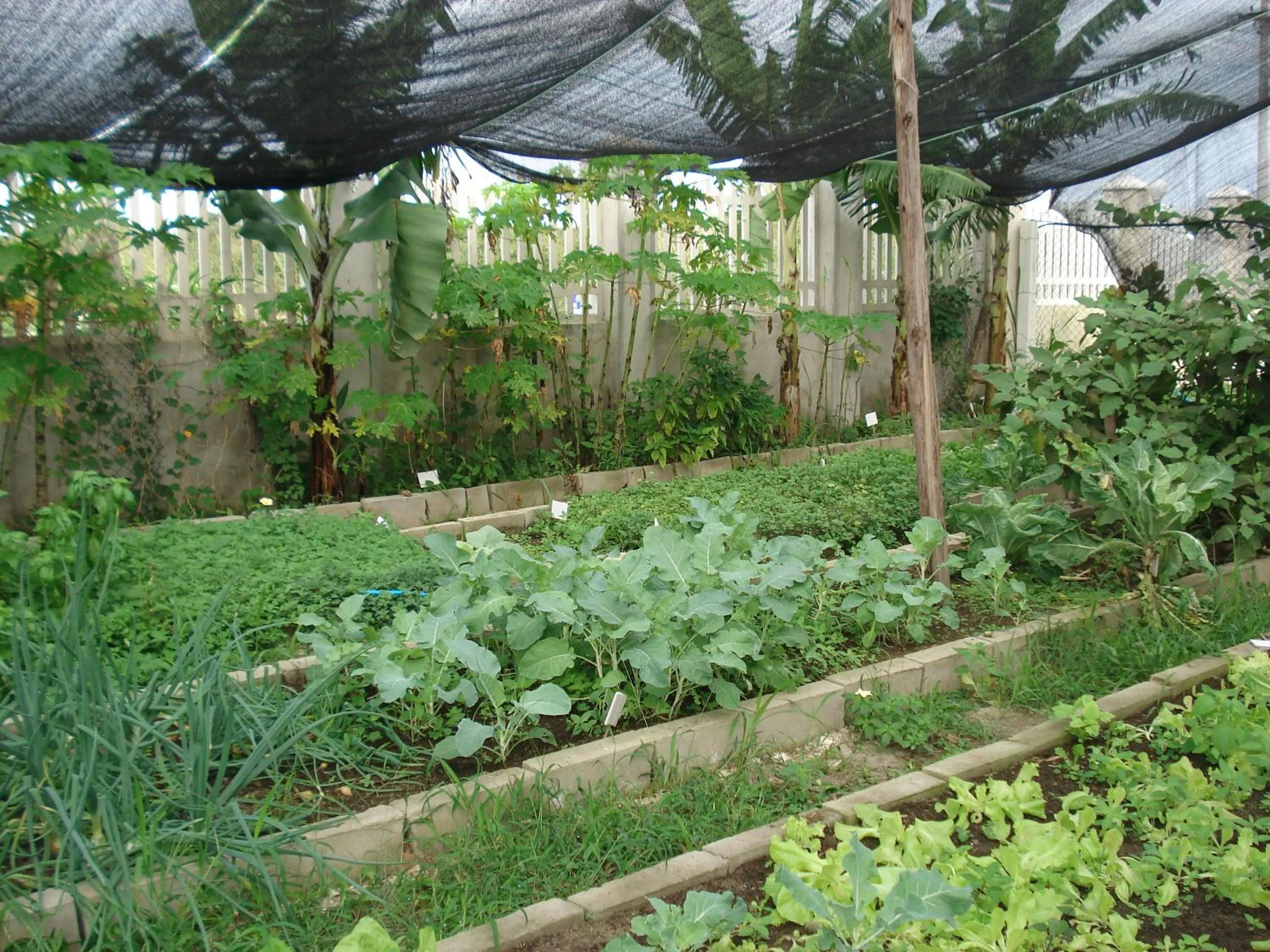Other in Villaggio dos Ventos