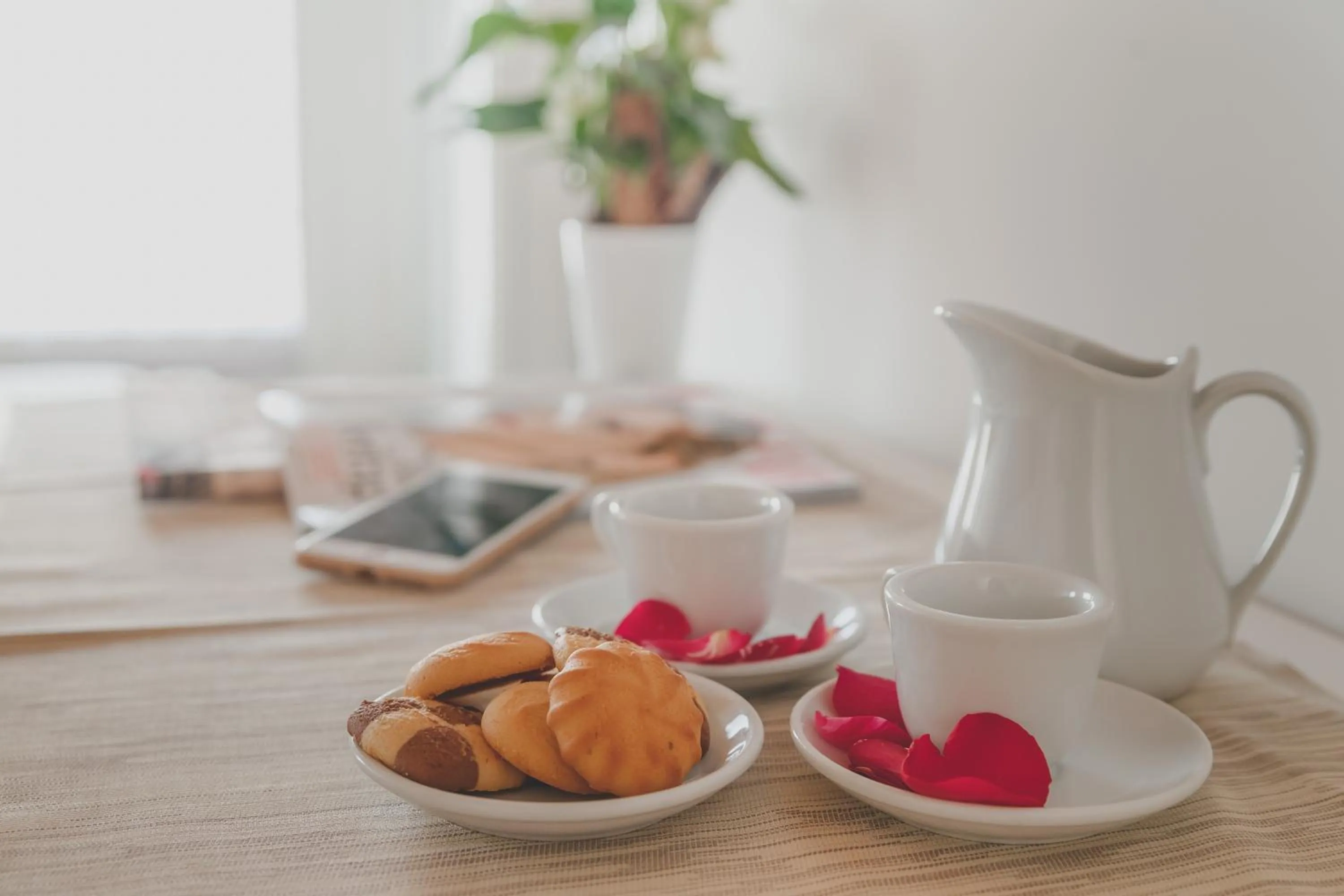 Terra Ferma Rooms&More