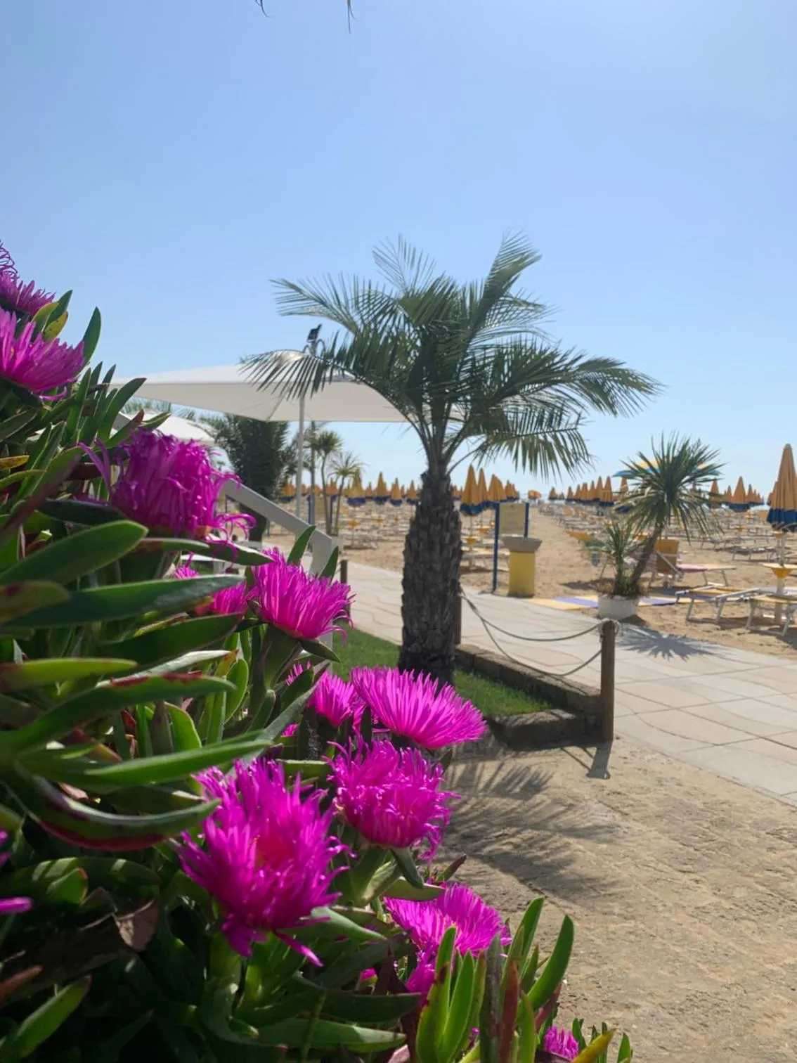Beach in Hotel Nizza Frontemare Superior 3 Stelle
