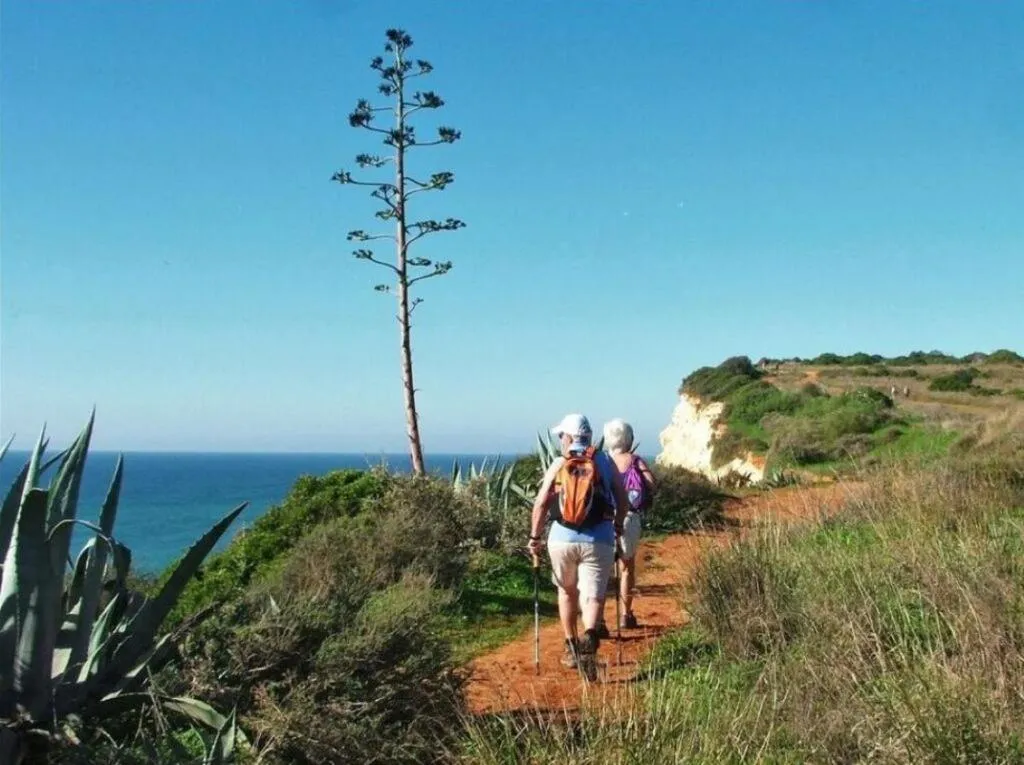 Natural landscape in Atalaia Sol Aparthotel - tennis & heated pool in winter