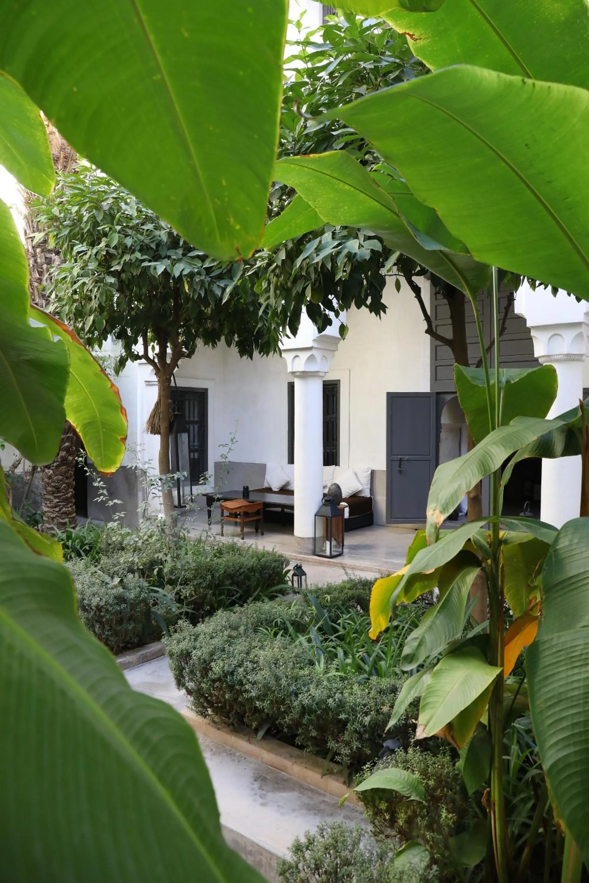Patio in Riad Zaouia 44