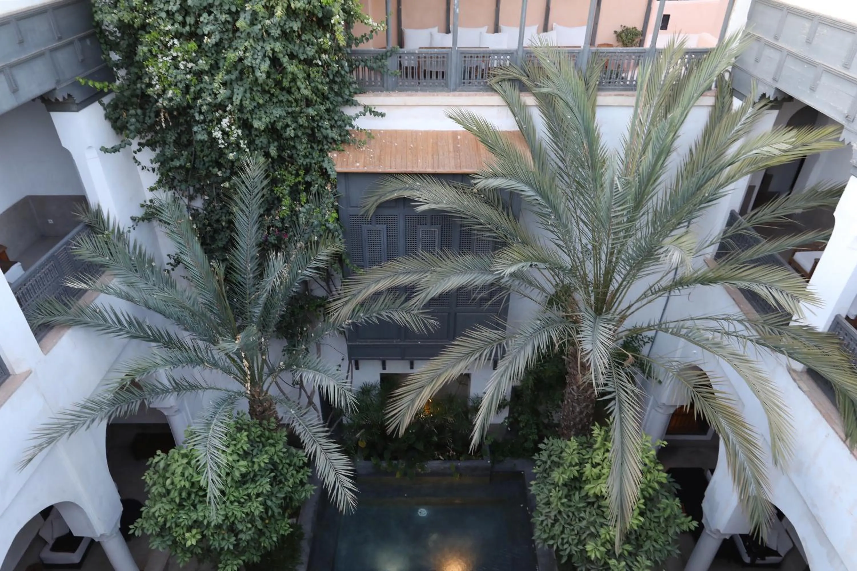 Garden in Riad Zaouia 44