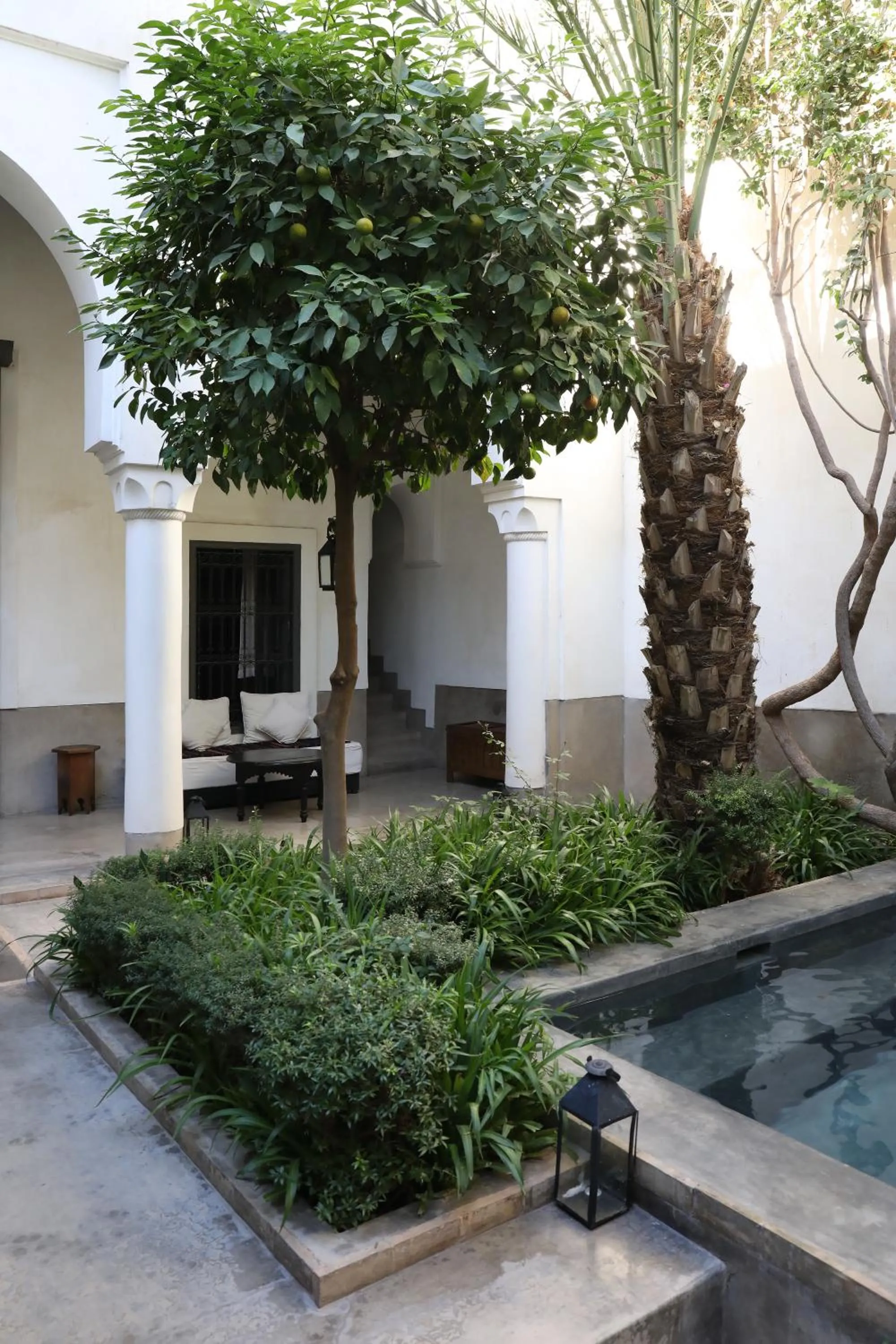 Patio in Riad Zaouia 44