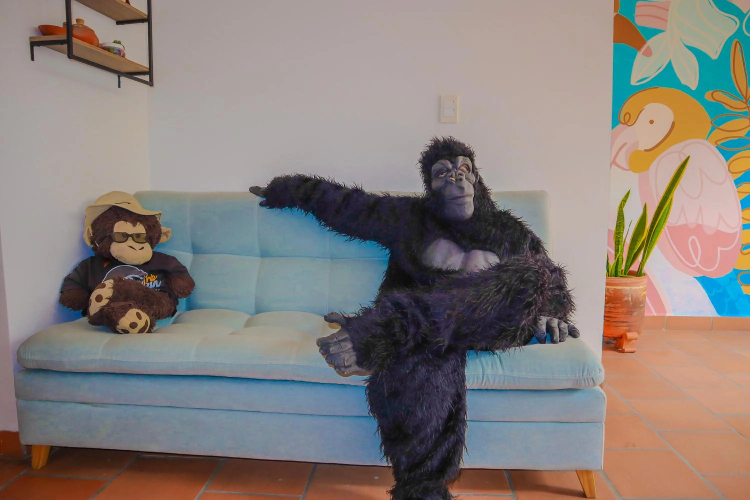 Trip Monkey Origen
